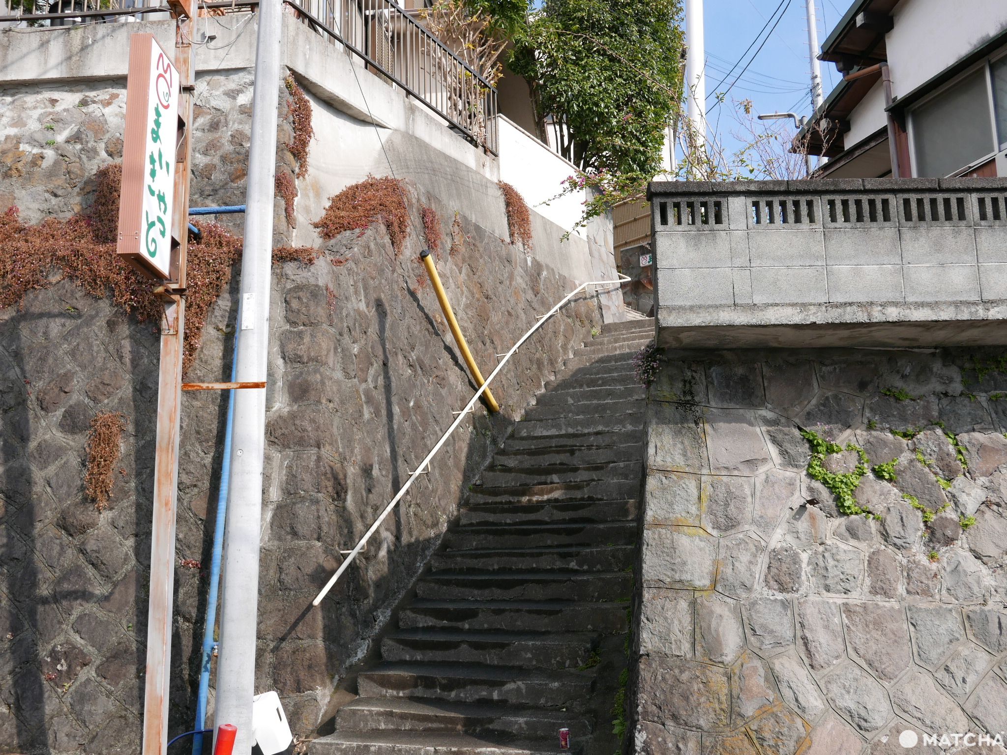 貓奴必去！不只是貓咪咖啡廳的貓咪陪睡日式旅館
