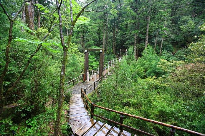 鹿兒島出發 種子島-屋久島 離島避世遊 (二)