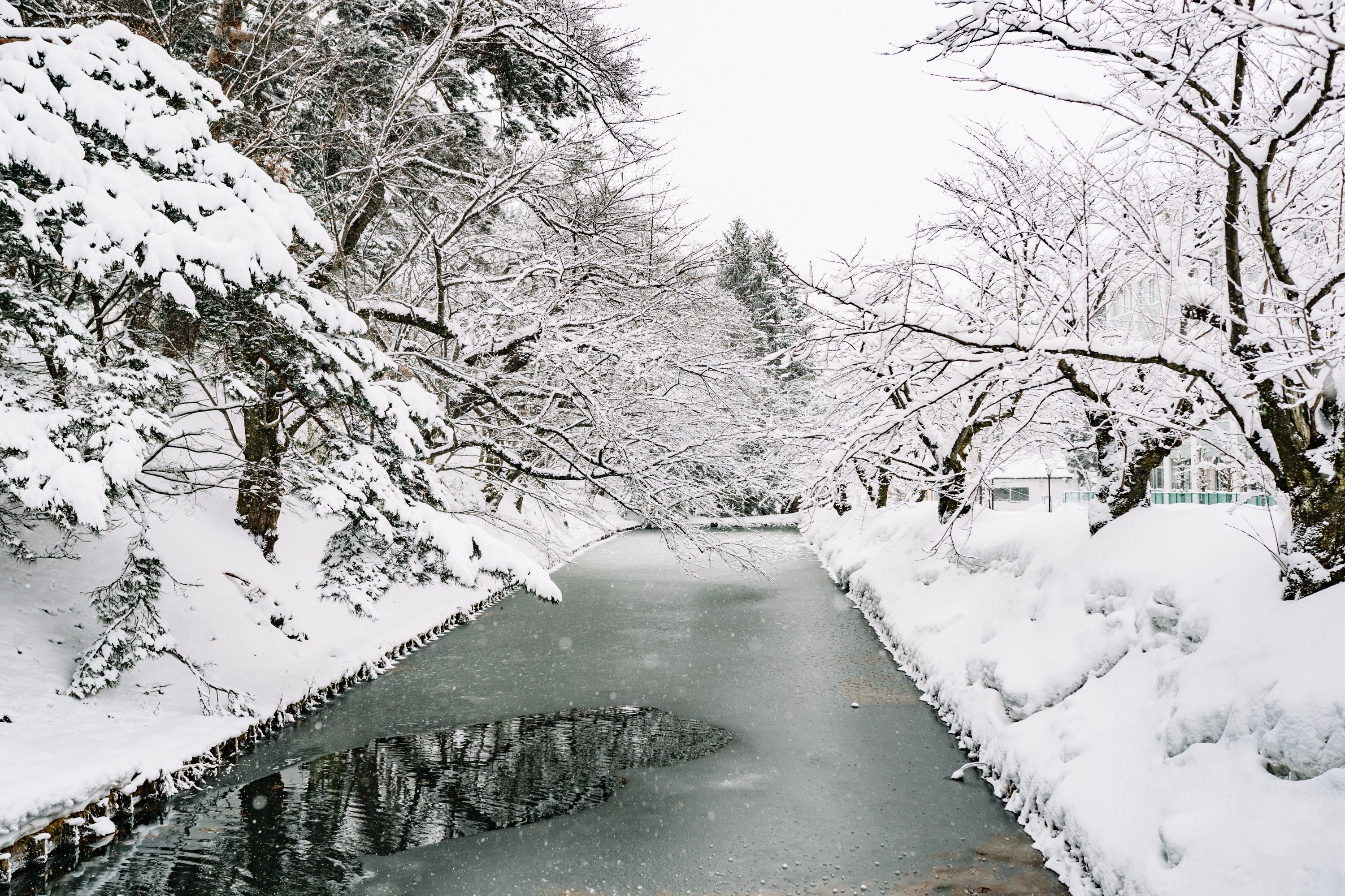 弘前公園