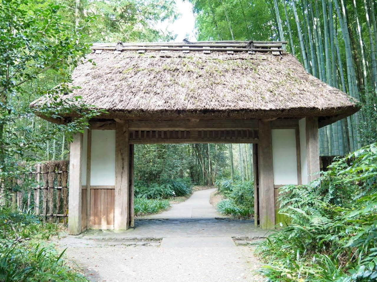 箱根