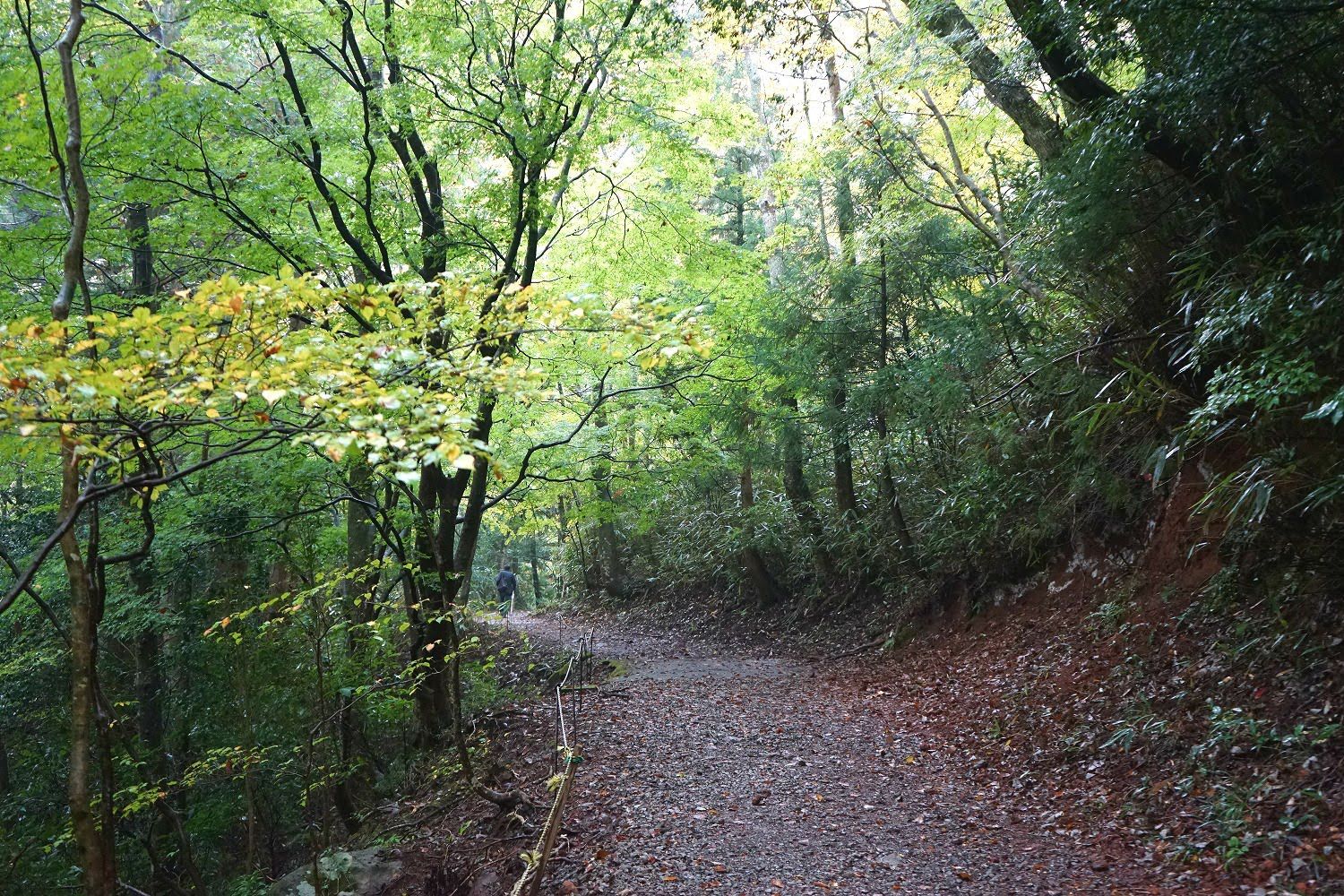 箱根