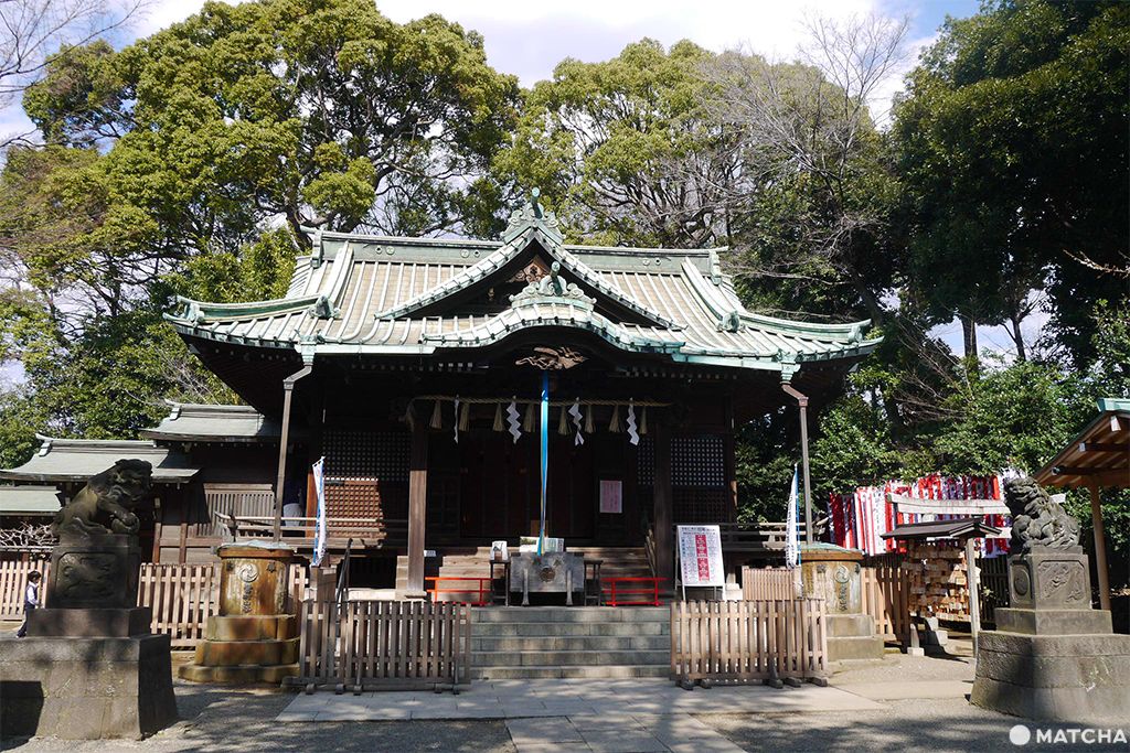 代代木慢步調半日遊（代々木半日散策）