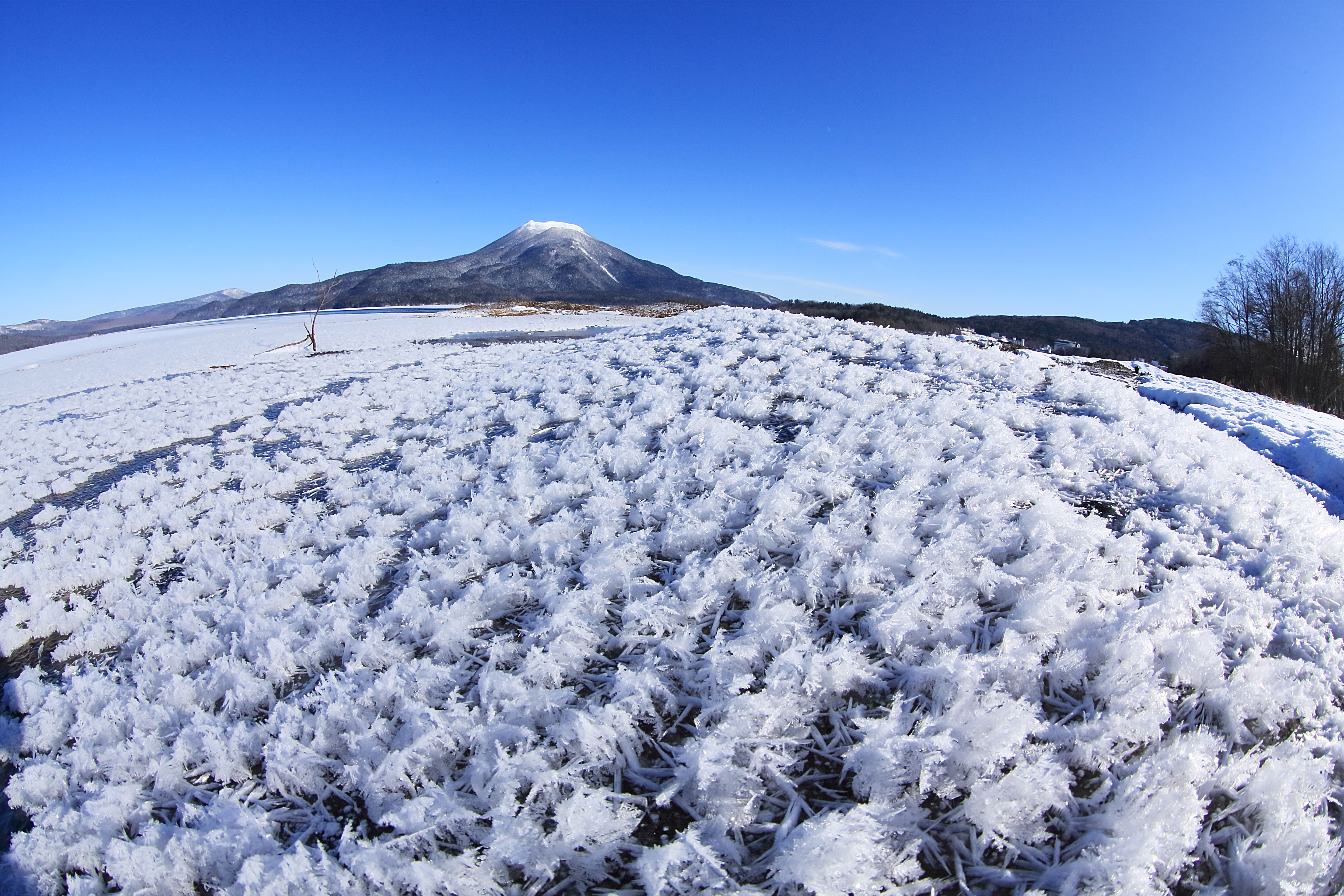 【北海道】必見！冬の阿寒湖で雪、森、湖、そして火山が織りなす別世界