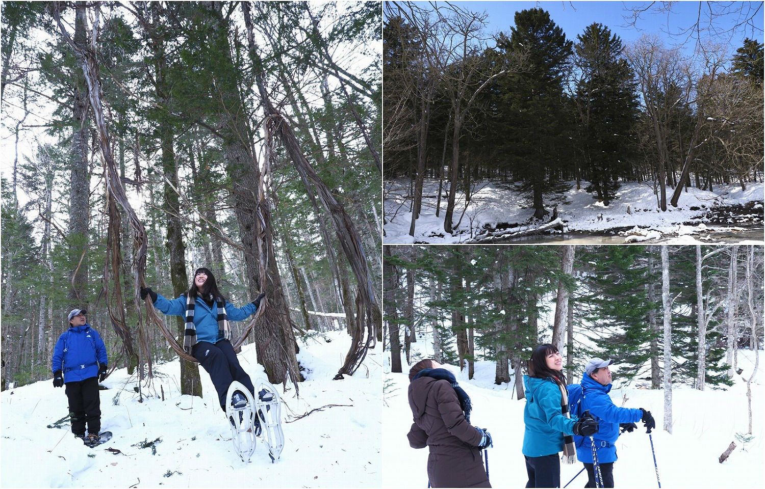 【北海道】必見！冬の阿寒湖で雪、森、湖、そして火山が織りなす別世界