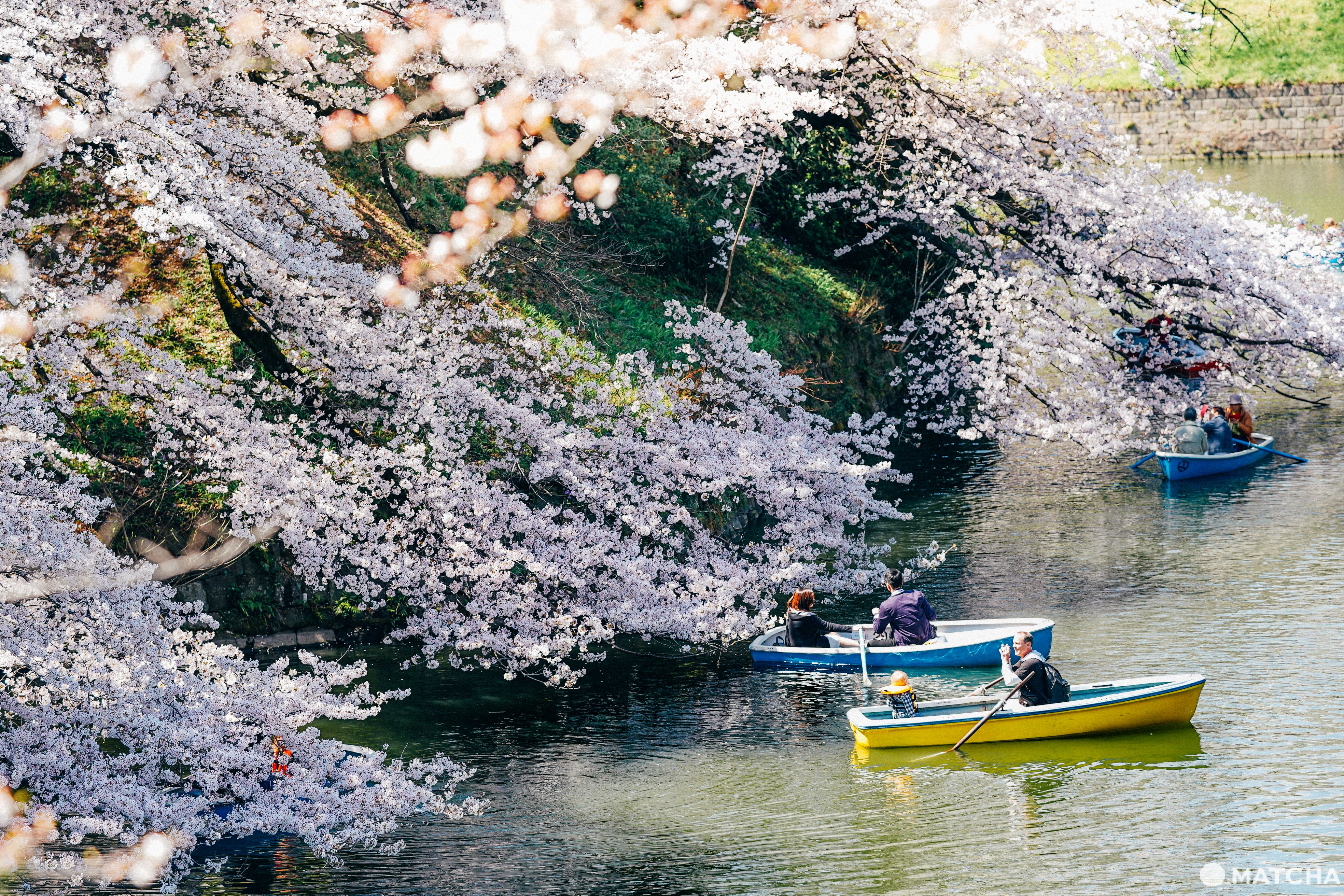 東京メトロ花見