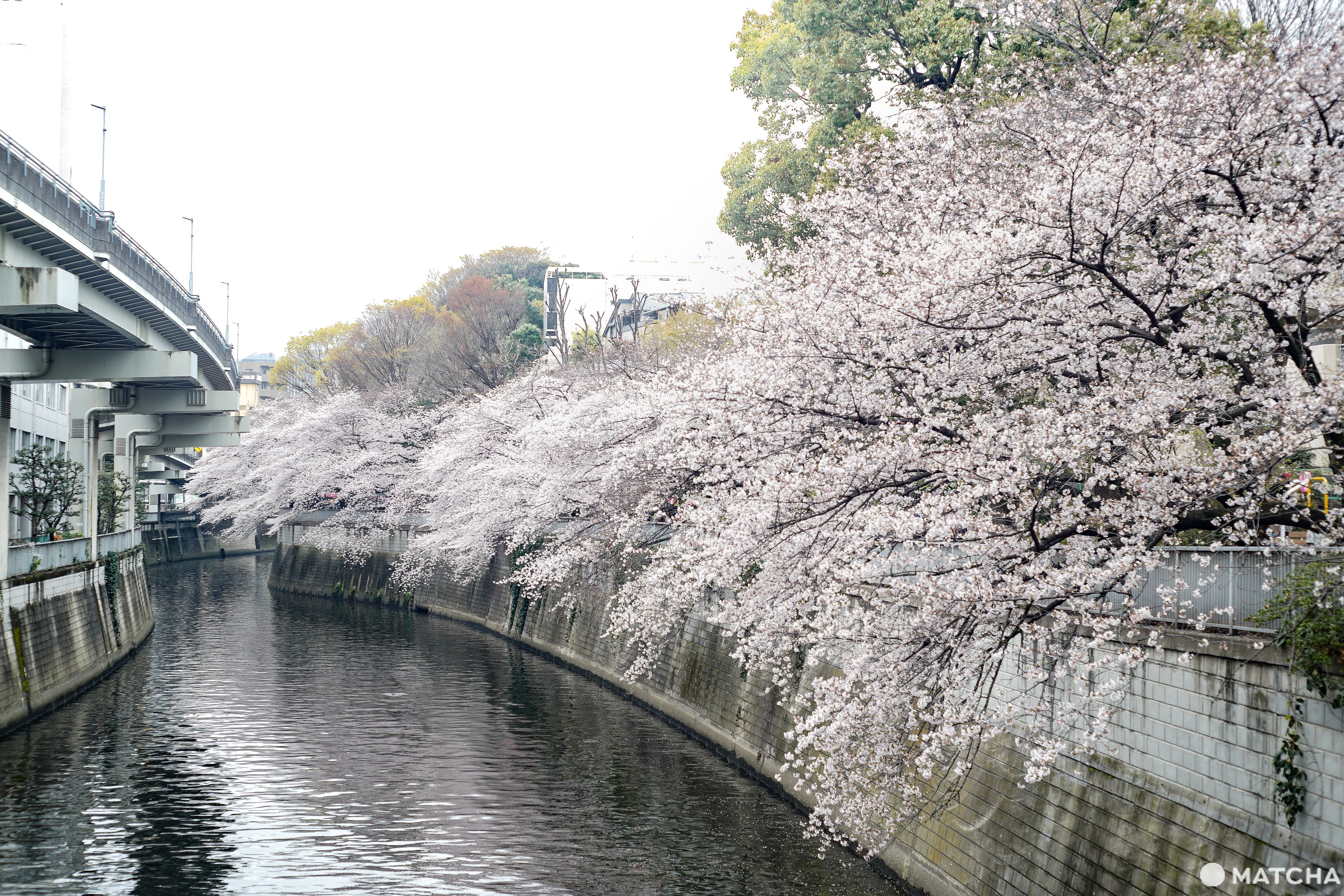 東京メトロ花見