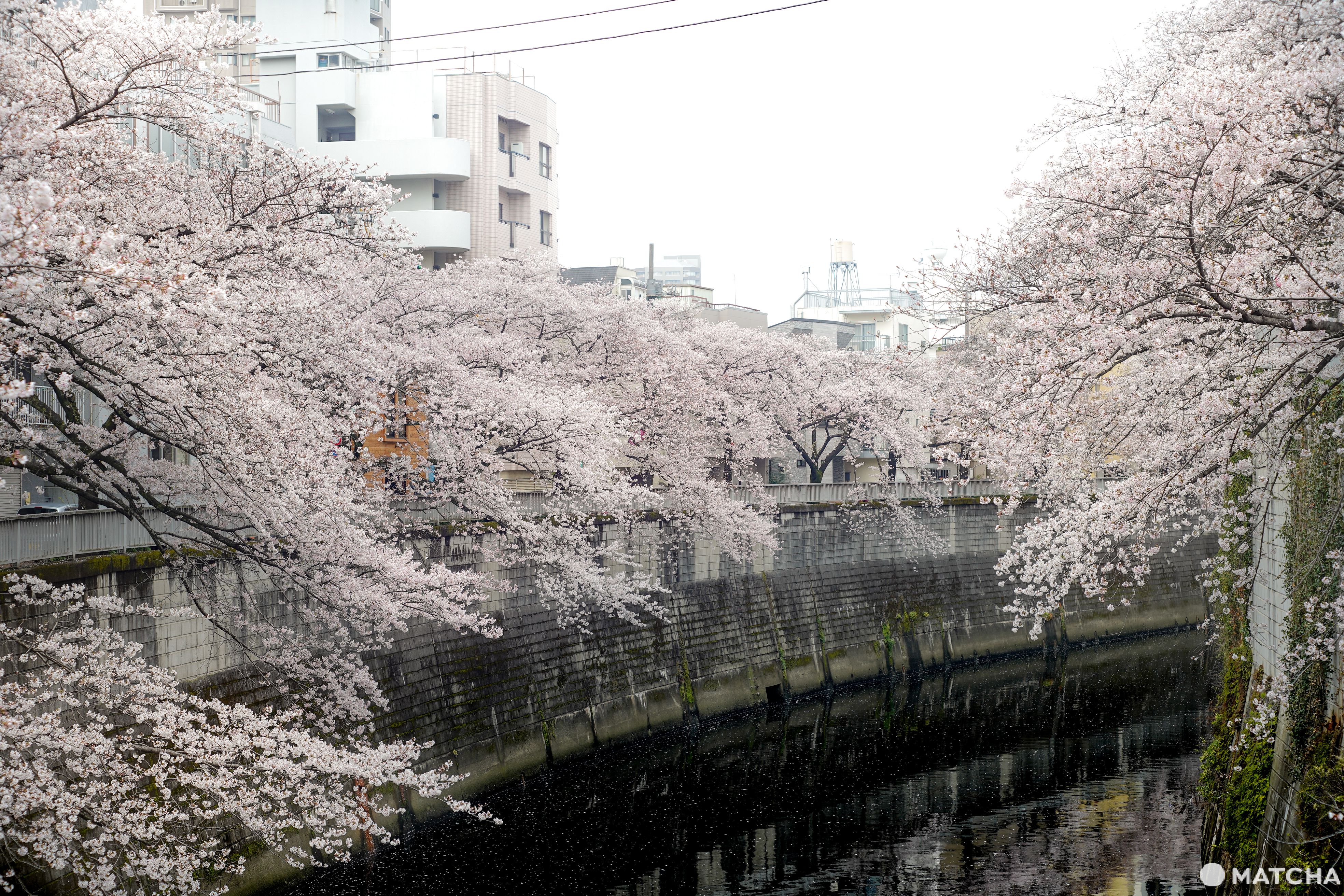 東京メトロ花見