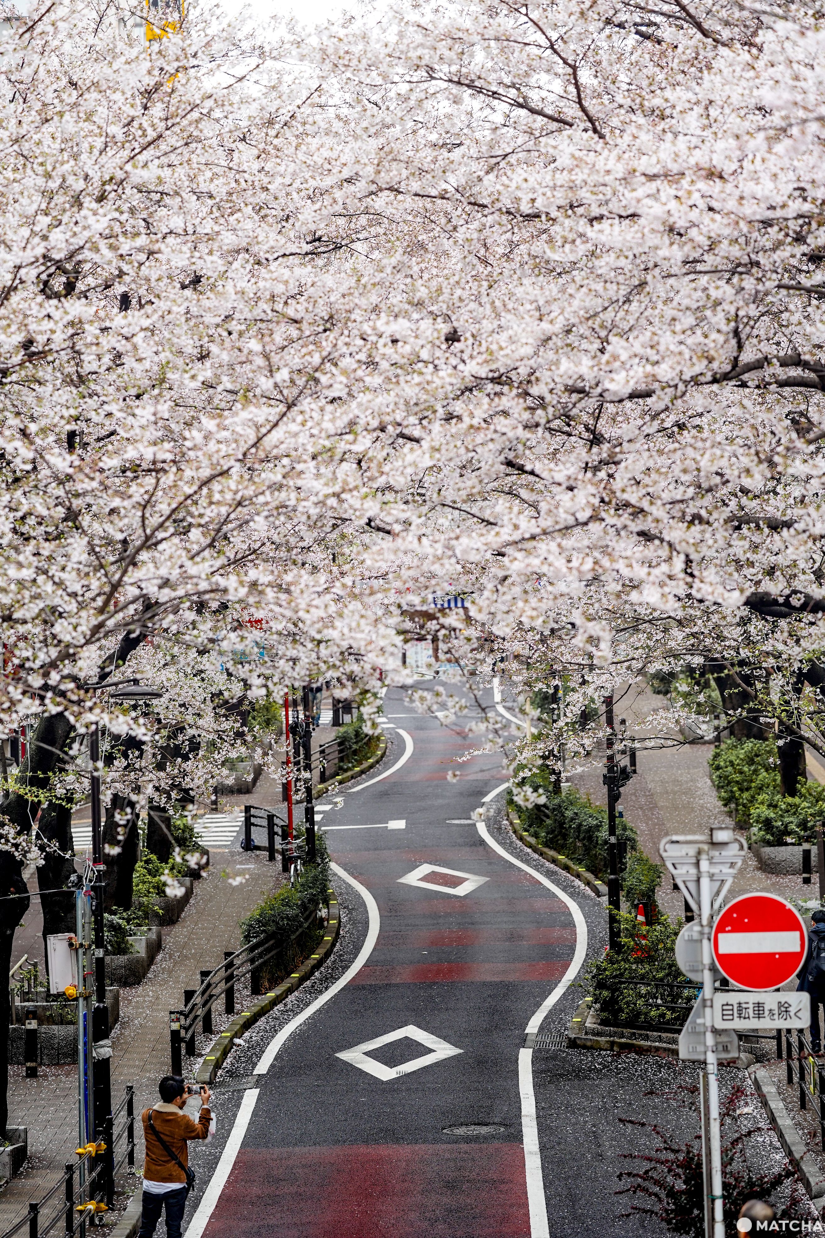 東京メトロ花見