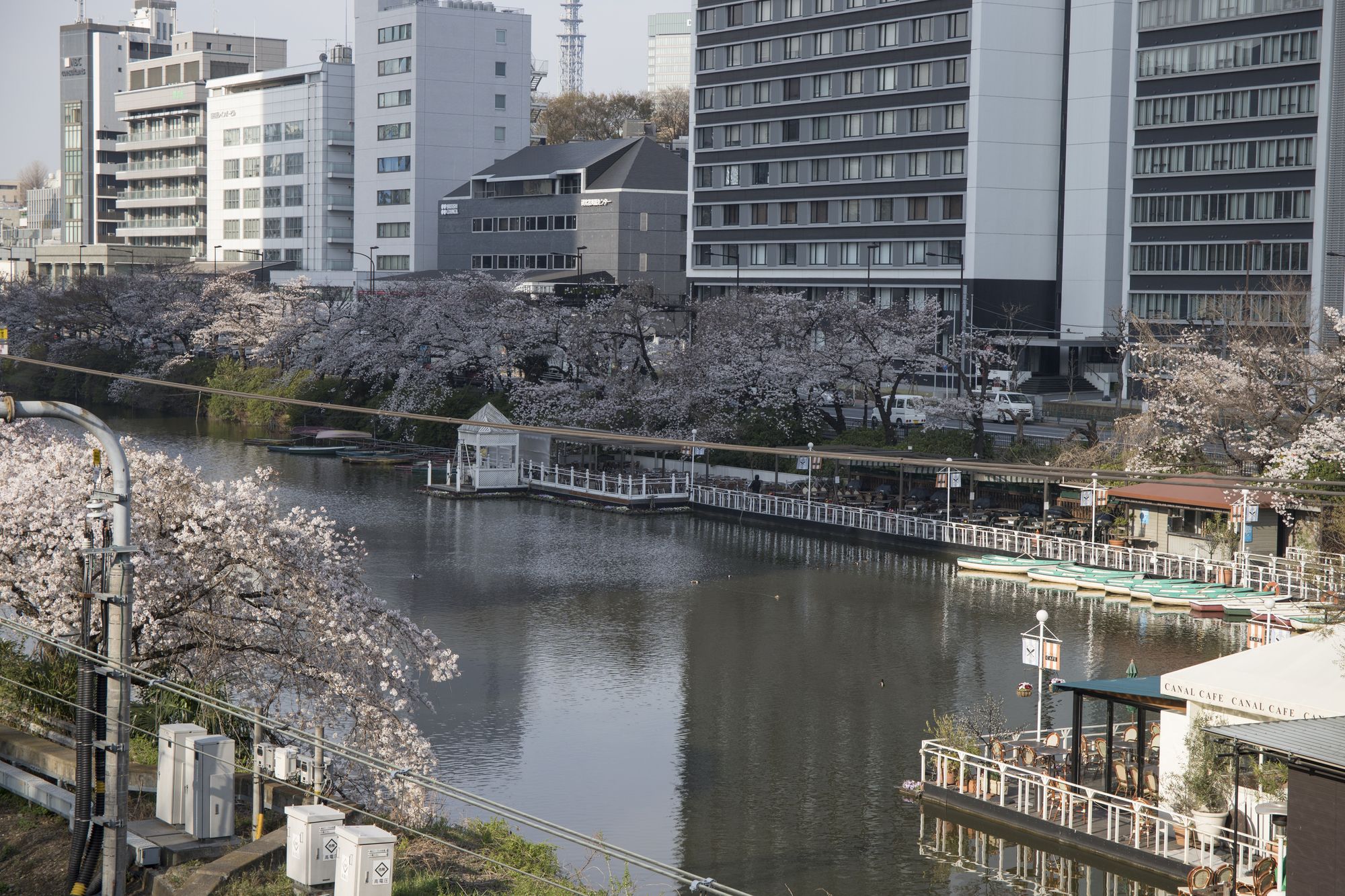 東京メトロ花見