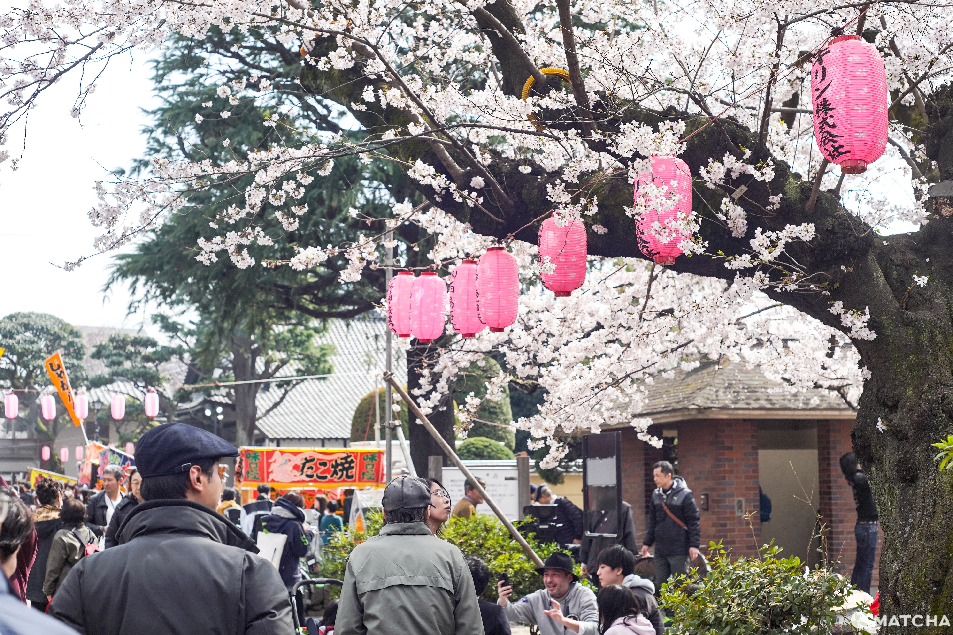 東京メトロ花見