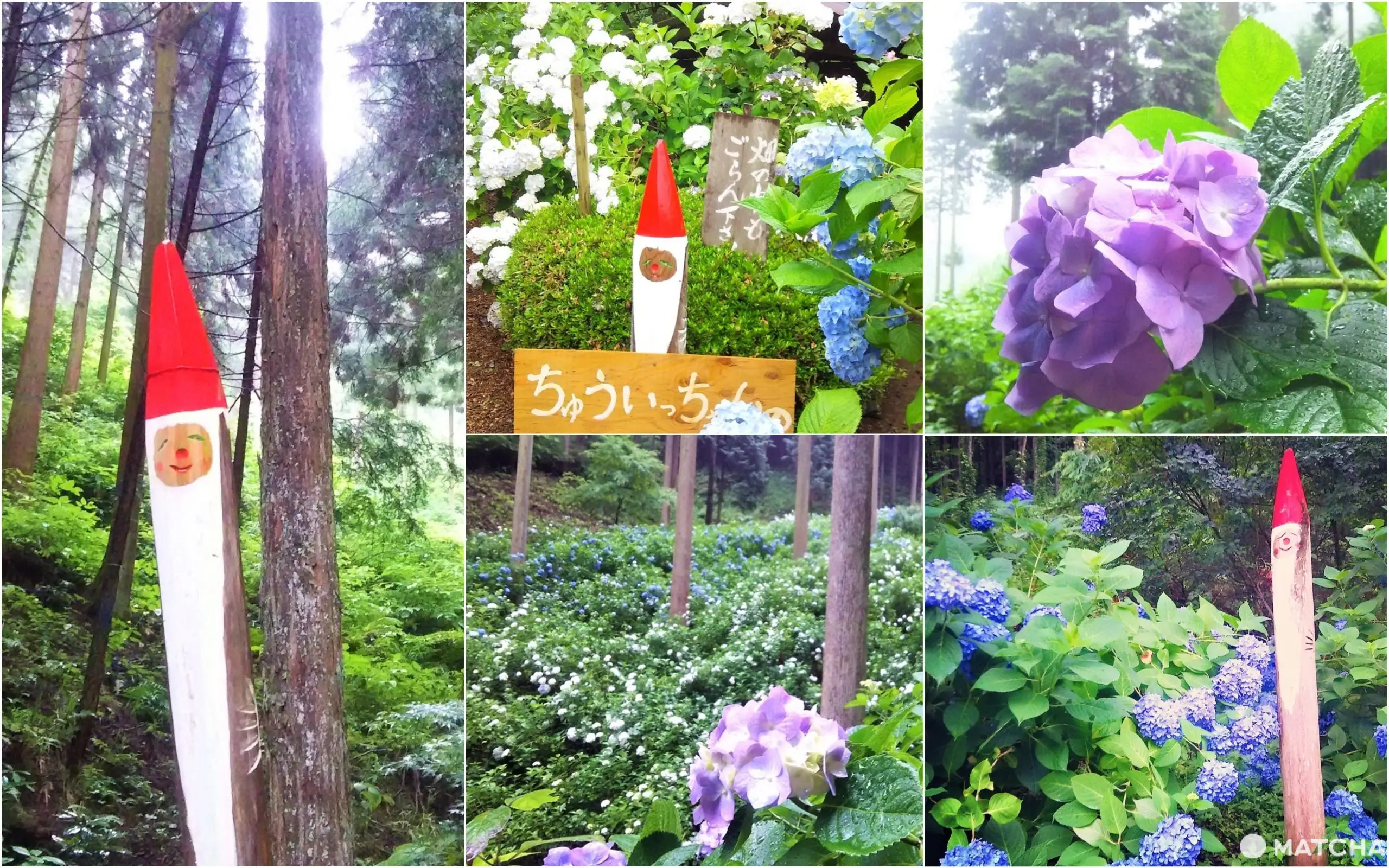 A Hidden Art Spot In Tokyo's Enchanted Forest: Tomonaga Akimitsu Museum