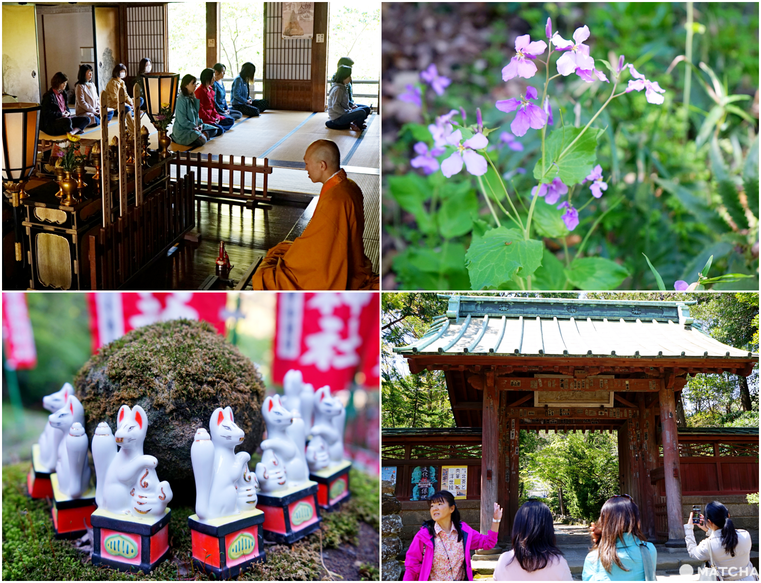 Kamakura Day Trip - Zen Meditation, Shrines, And Hiking