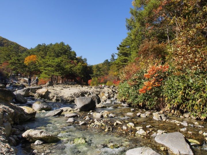 草津の楽しみ方