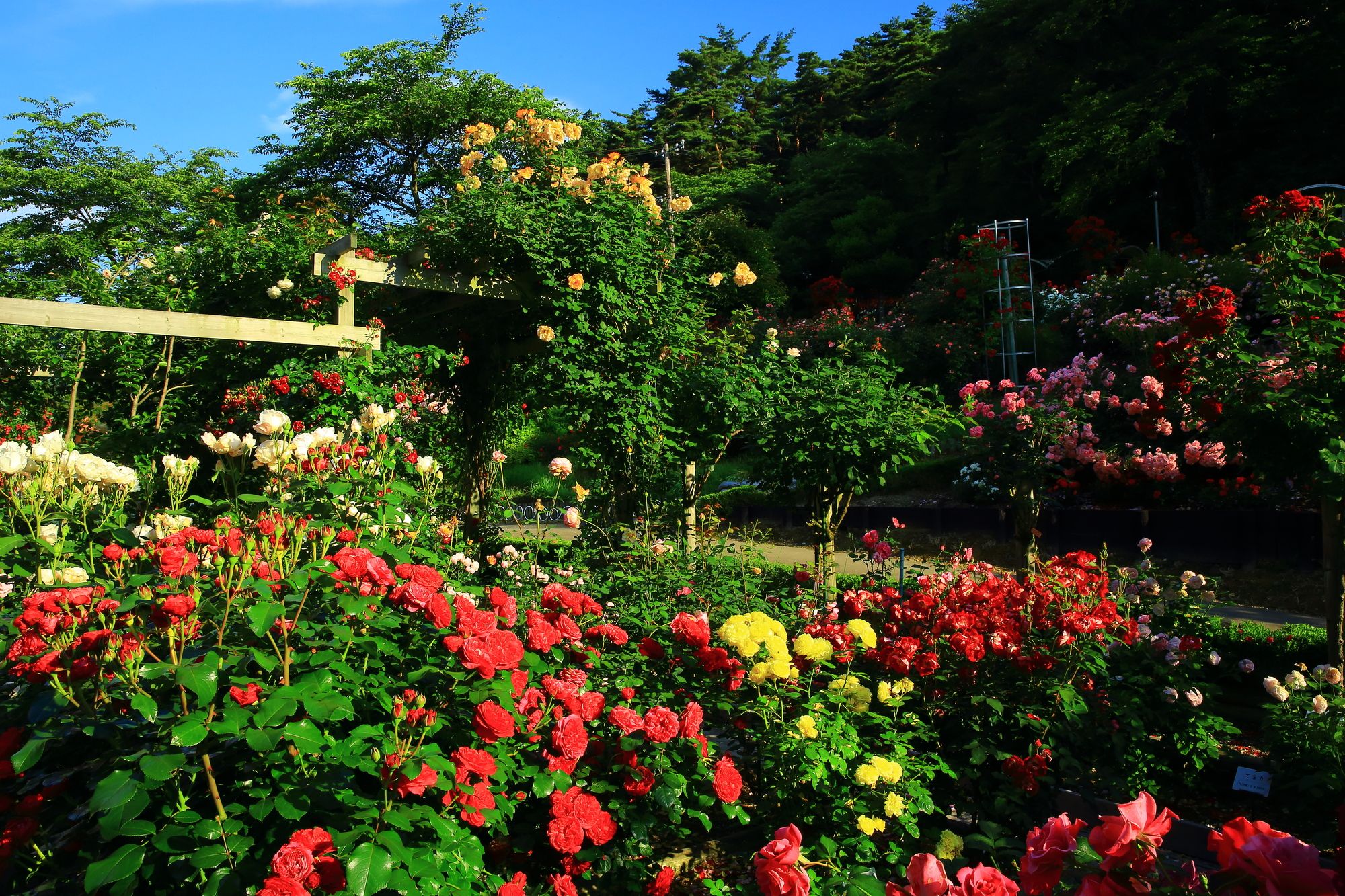 Hanamaki Onsen Rose Park