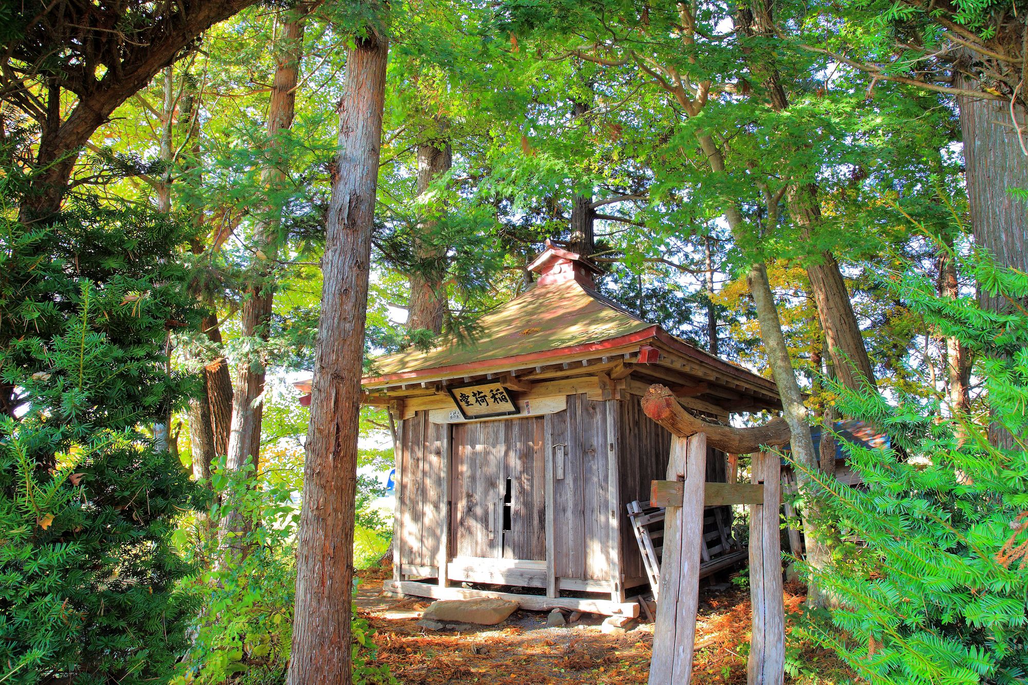 Kappabuchi Pond