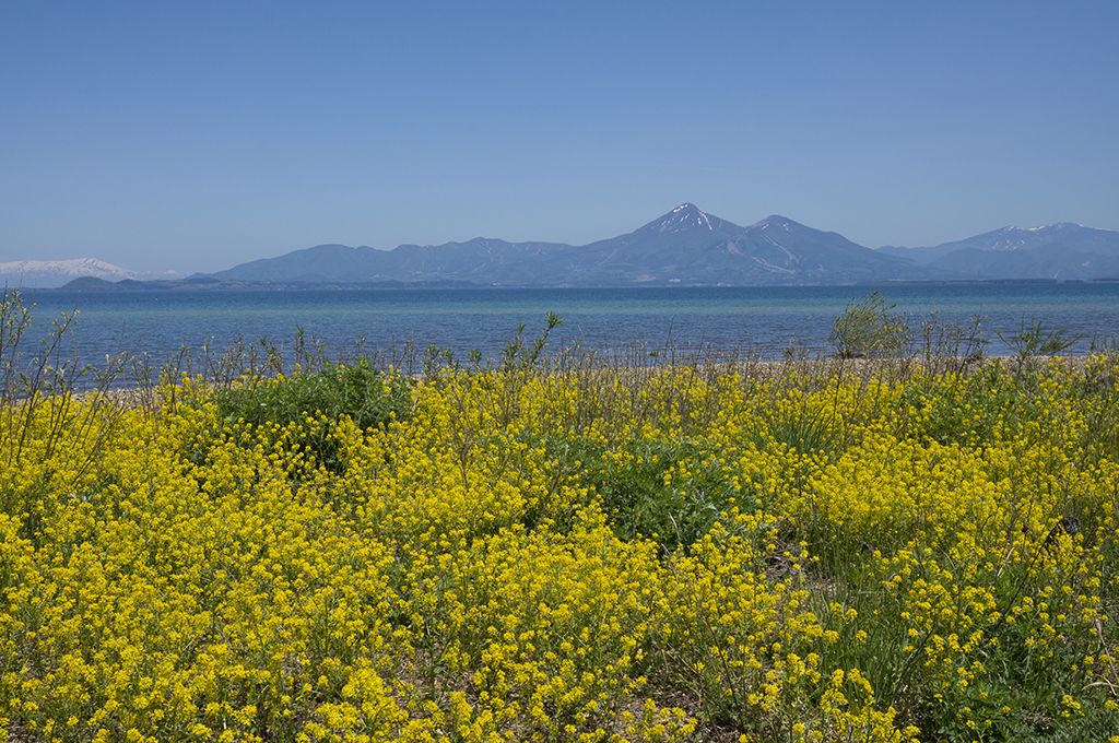 福島 福島