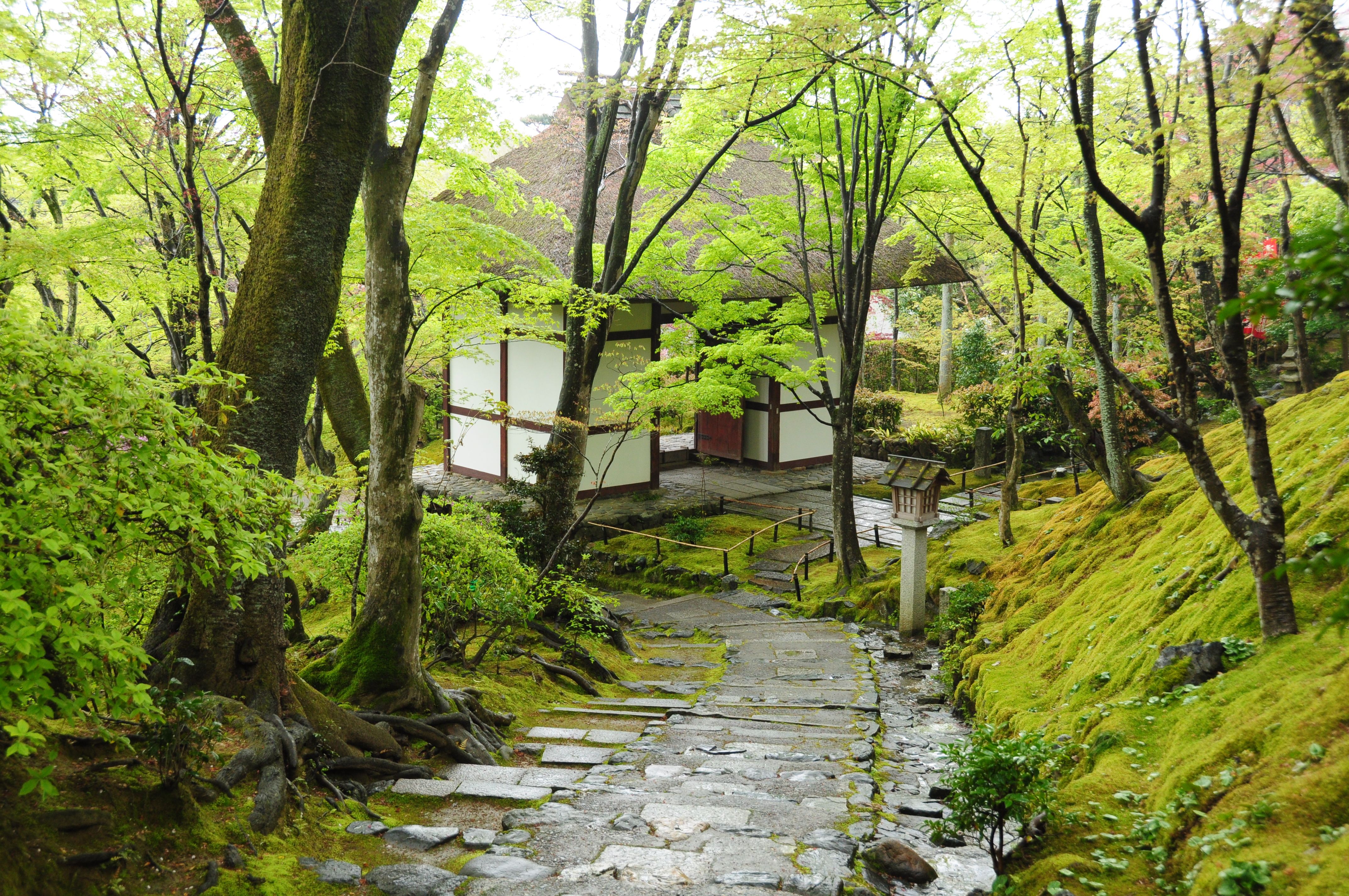常寂光寺 常寂光寺