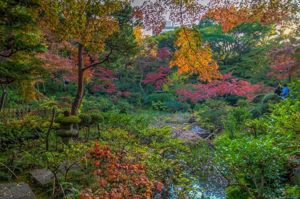 青山 青山