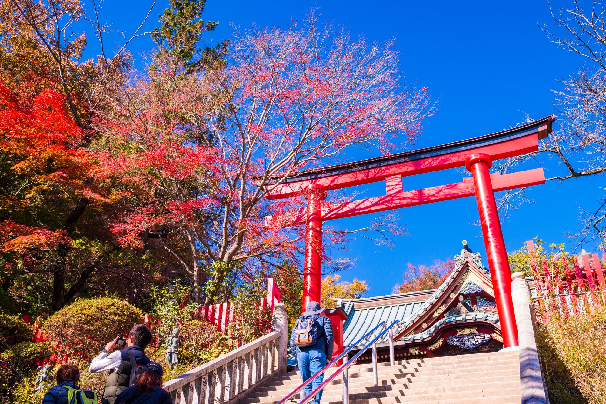 高尾山
