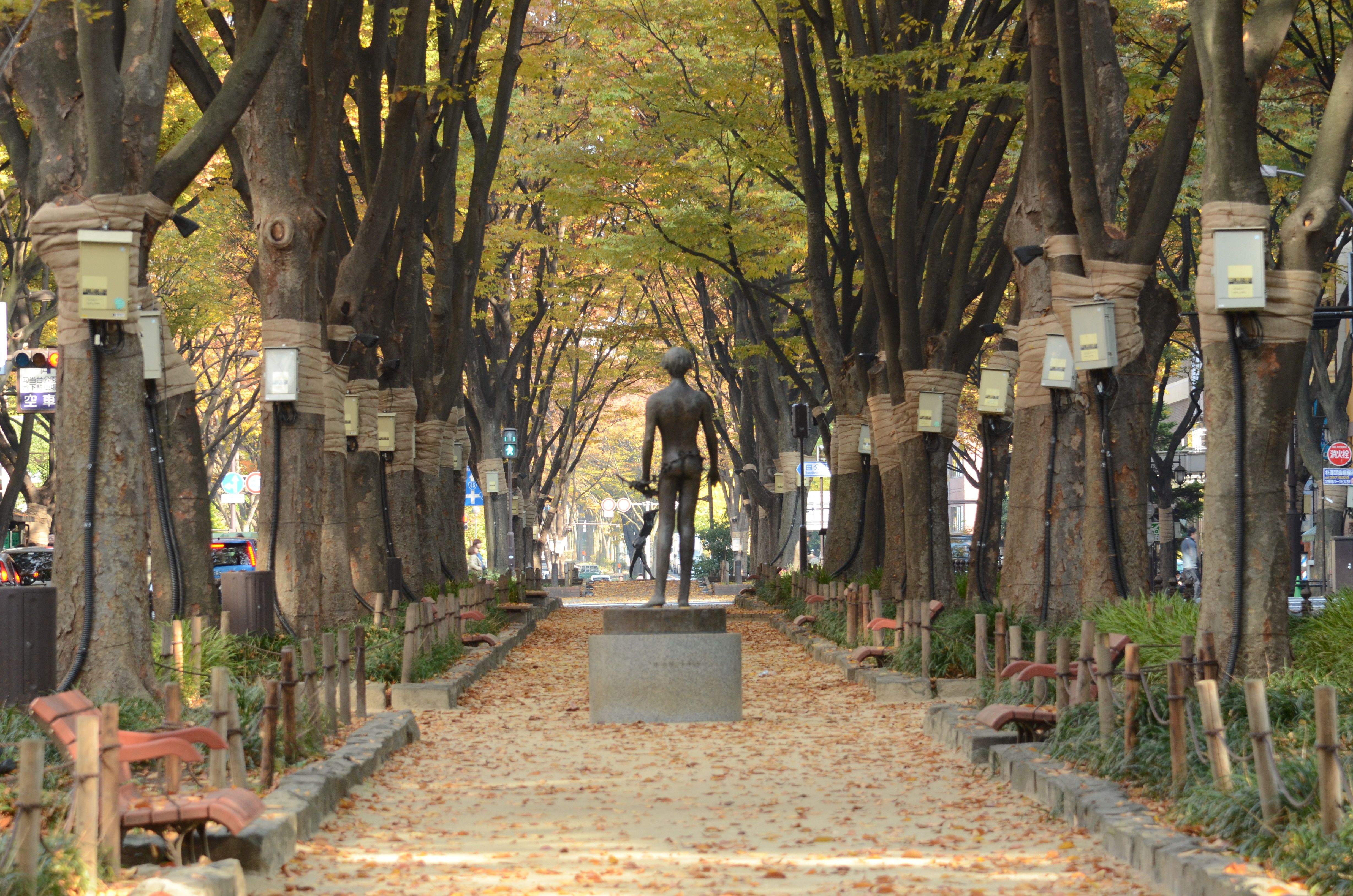 定禅寺通り 定禅寺通り