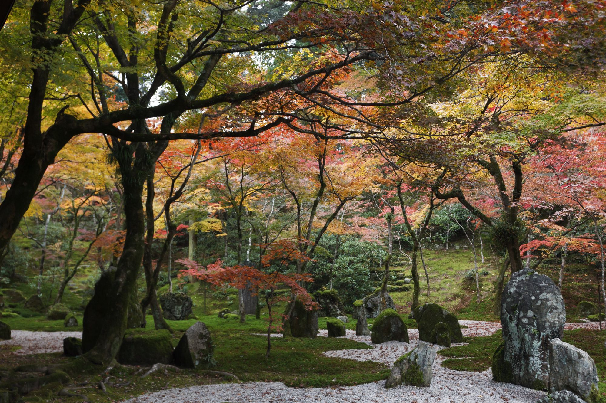 太宰府天滿宮_光明禪寺 太宰府天滿宮_光明禪寺