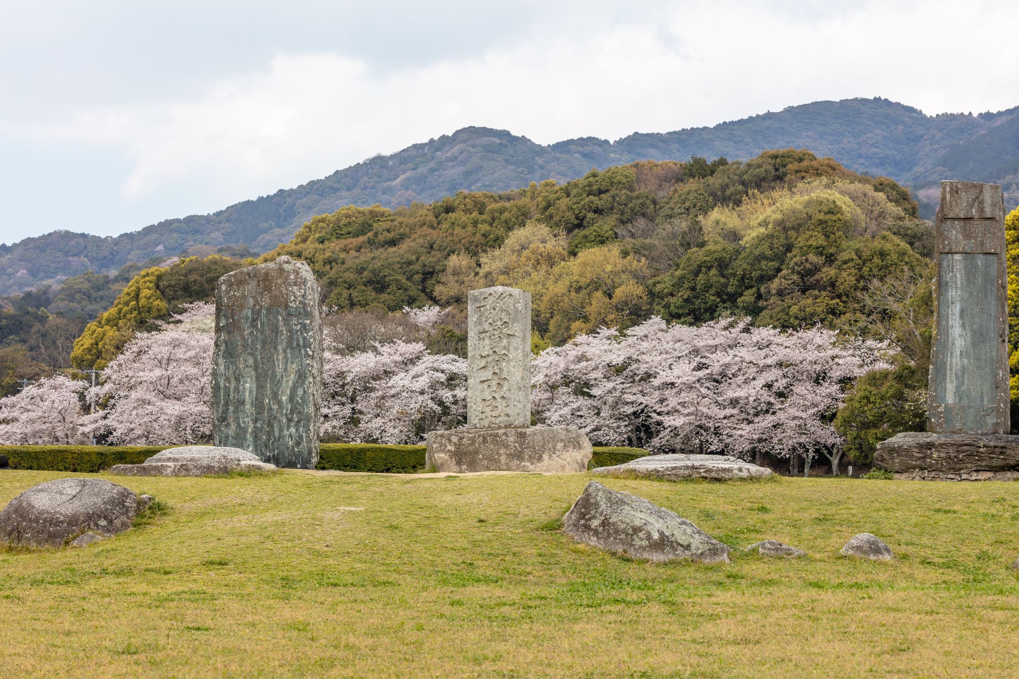 太宰府天滿宮_太宰府政廳遺跡 太宰府天滿宮_太宰府政廳遺跡