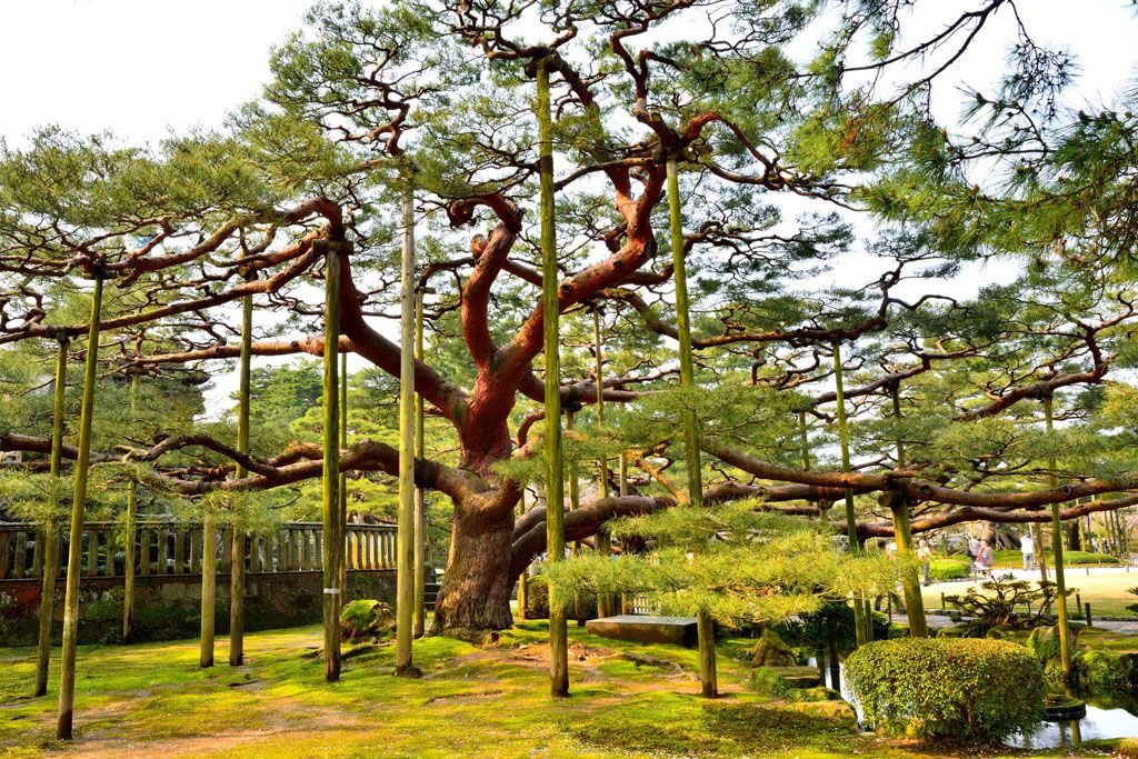 日本三大庭園 兼六園