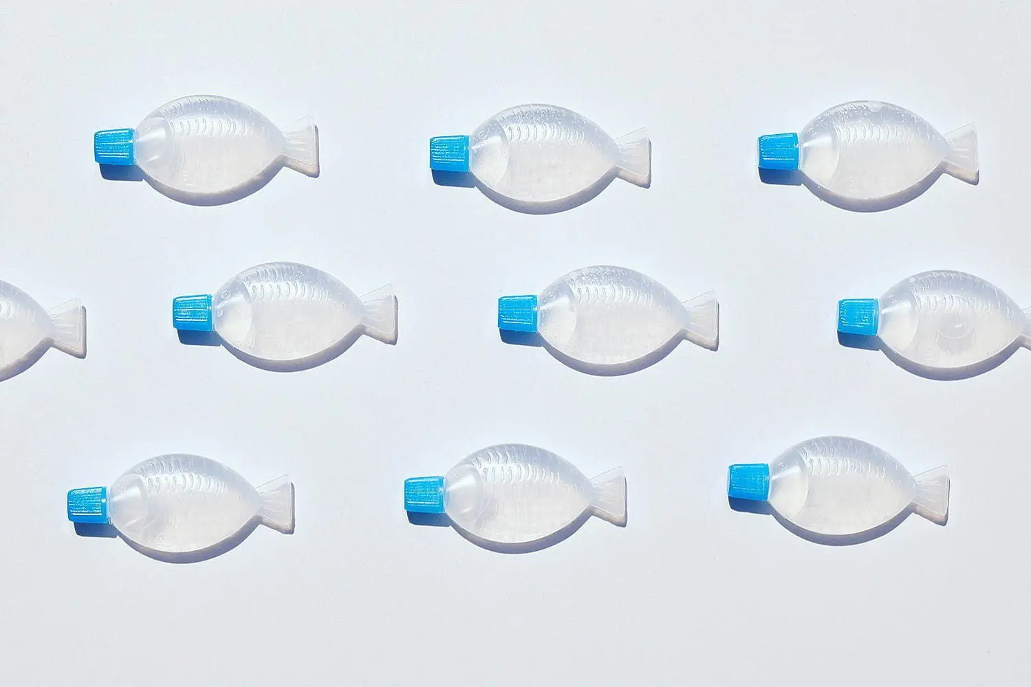 ร้านอาหารในญี่ปุ่นผุดไอเดียแจก "คุณปลาฆ่าเชื้อโรค" เมื่อซื้อกลับบ้าน!