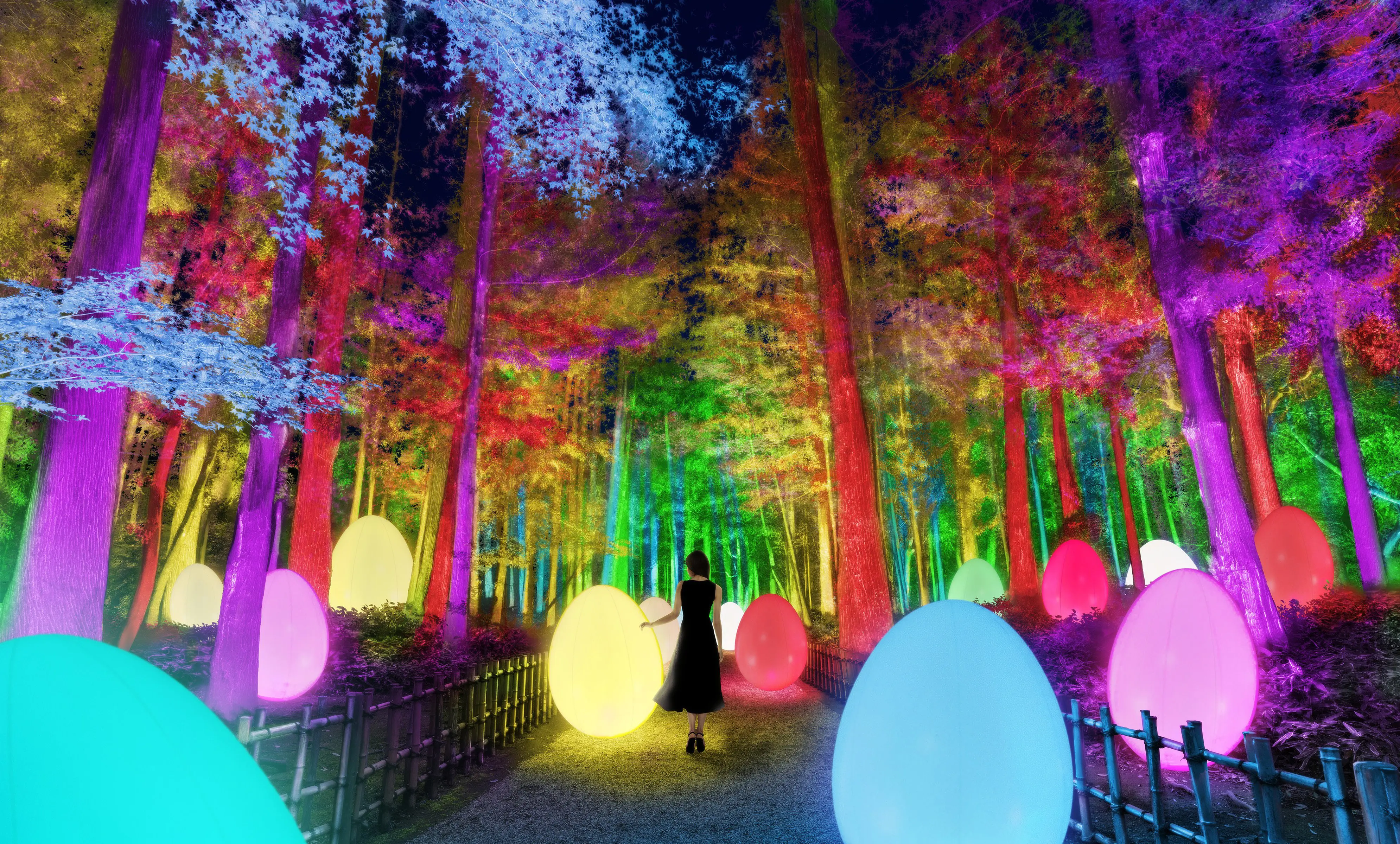 充滿梅香的數位藝術體驗！2021年「teamLab 偕樂園光之祭」春季開辦！