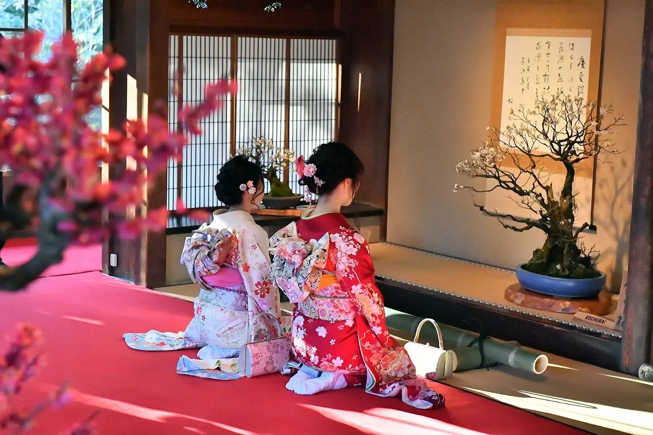 Celebrate the Coming of Spring at the Nagahama Bonbai Exhibition!