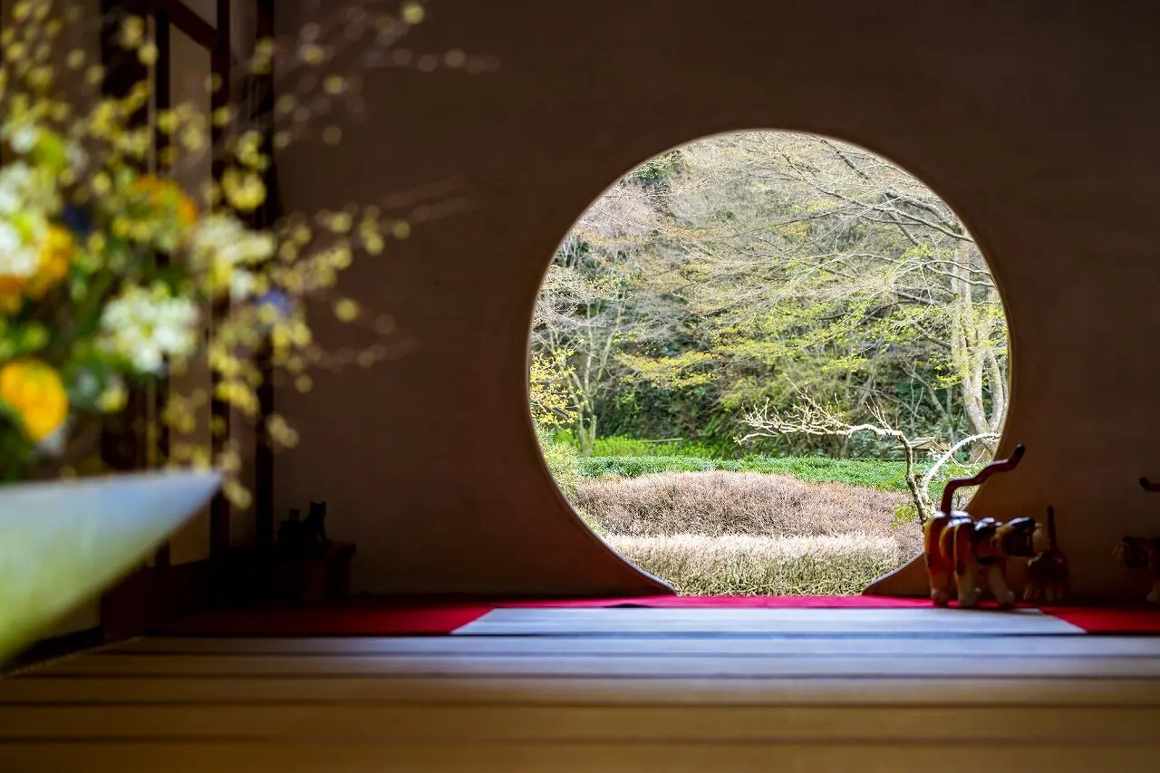 北鎌倉初心者にオススメ、和の美しさが詰まった寺院「明月院」