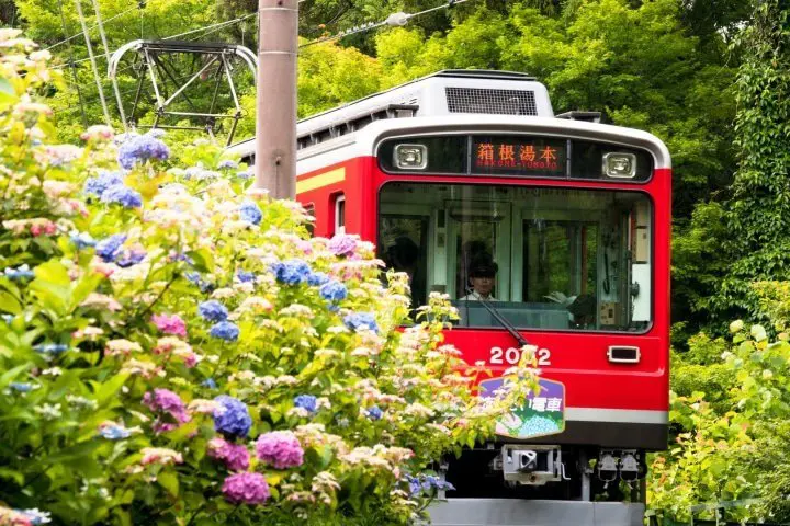 前往箱根請注意！箱根登山電車、登山巴士及部分套票預計10月起調整票價