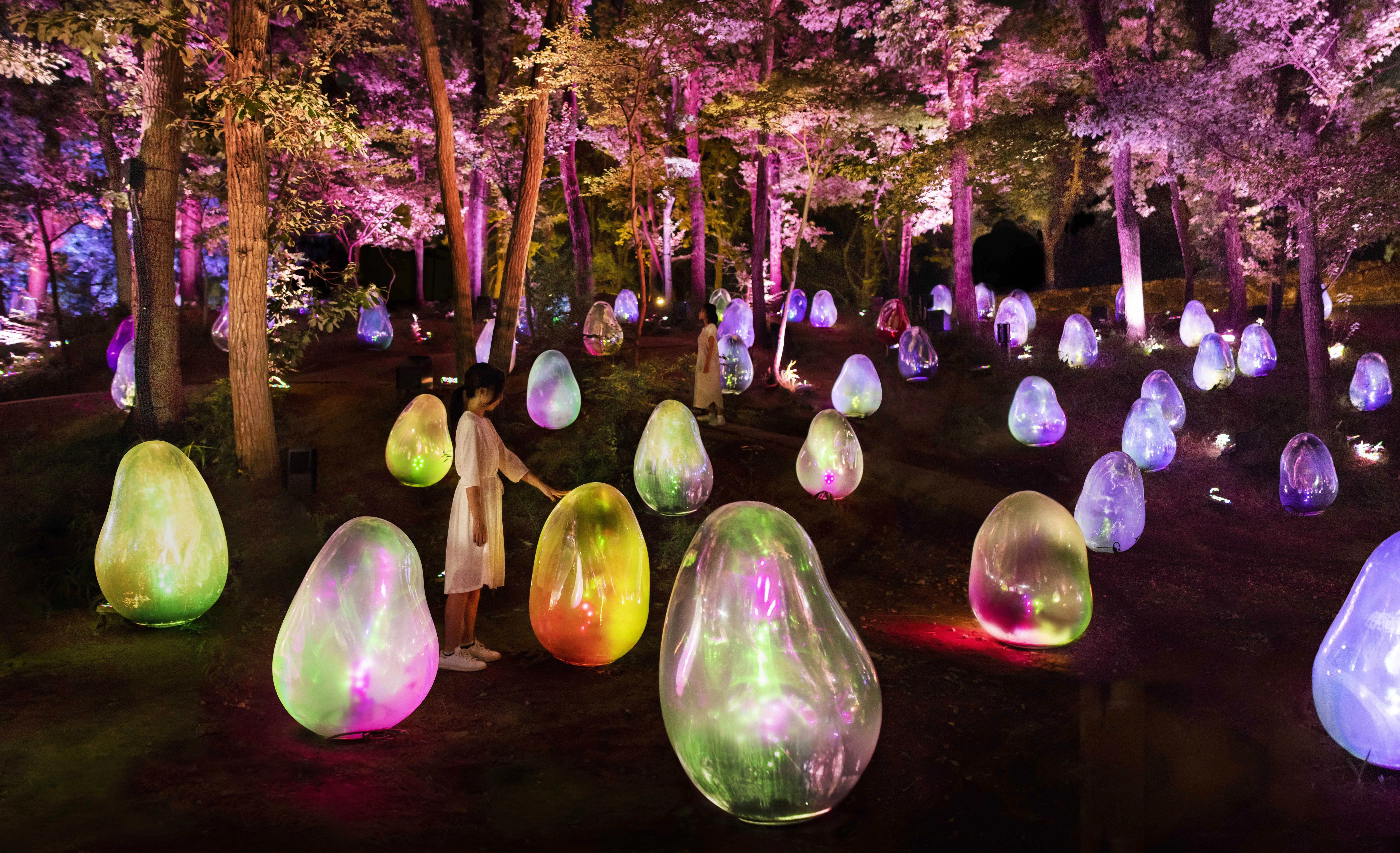 teamLab 結合千種植物的藝術新作！常設展「大阪長居植物園」登場