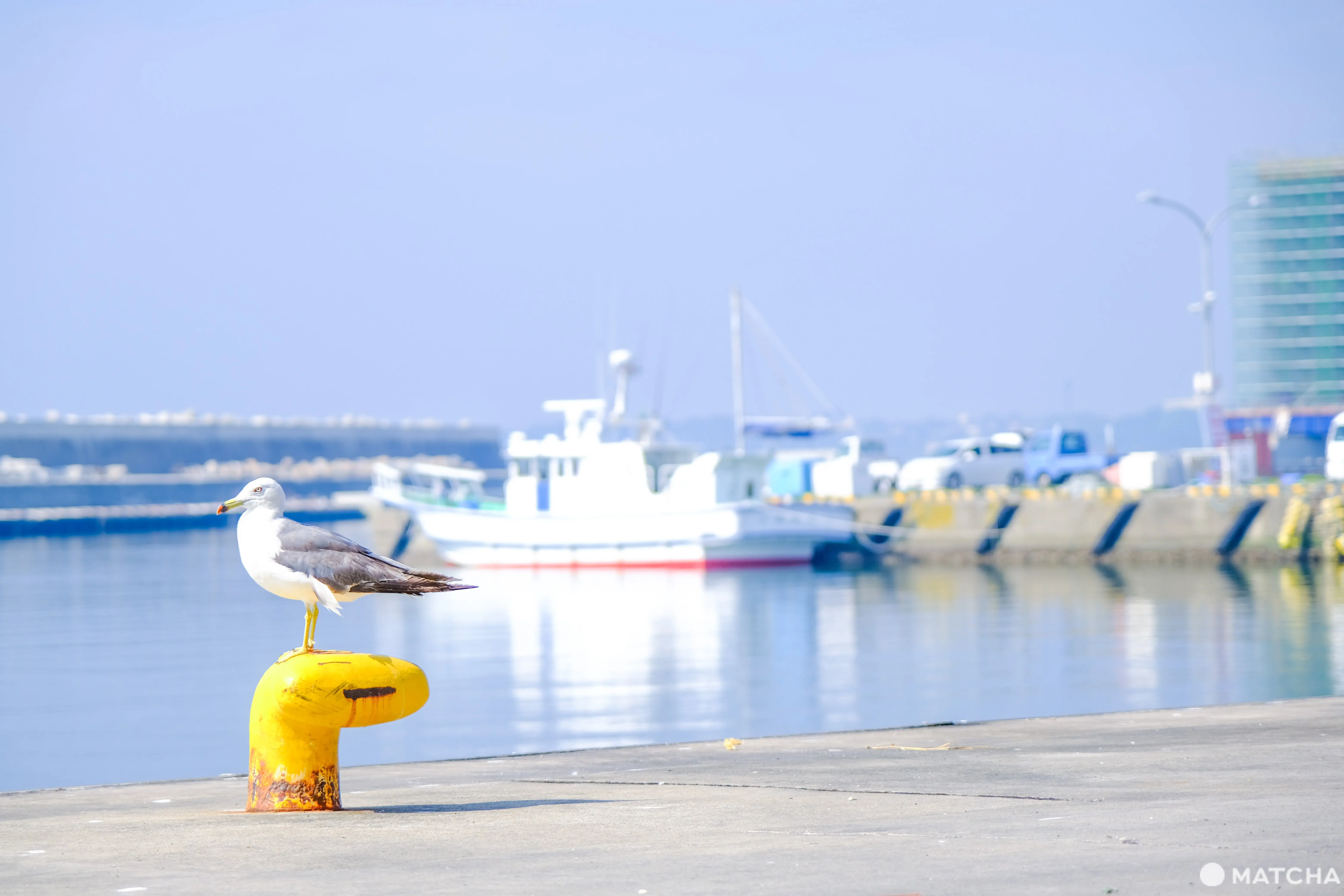 緑茶・大吟醸で魚を加工⁉茨城・大洗で「飯岡屋水産」の絶品干物やハマグリ、シラスを楽しもう！
