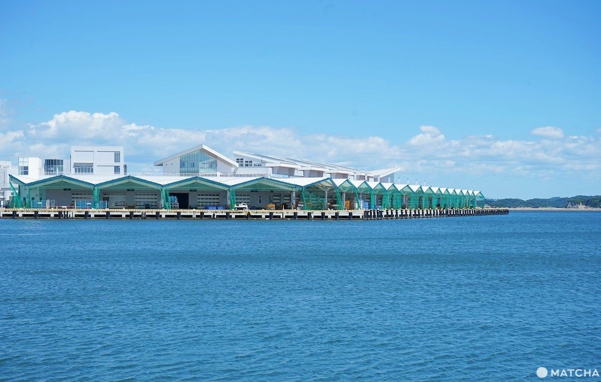 Amazing Seafood and Legends! Shiogama, a Fishing Town Near Sendai