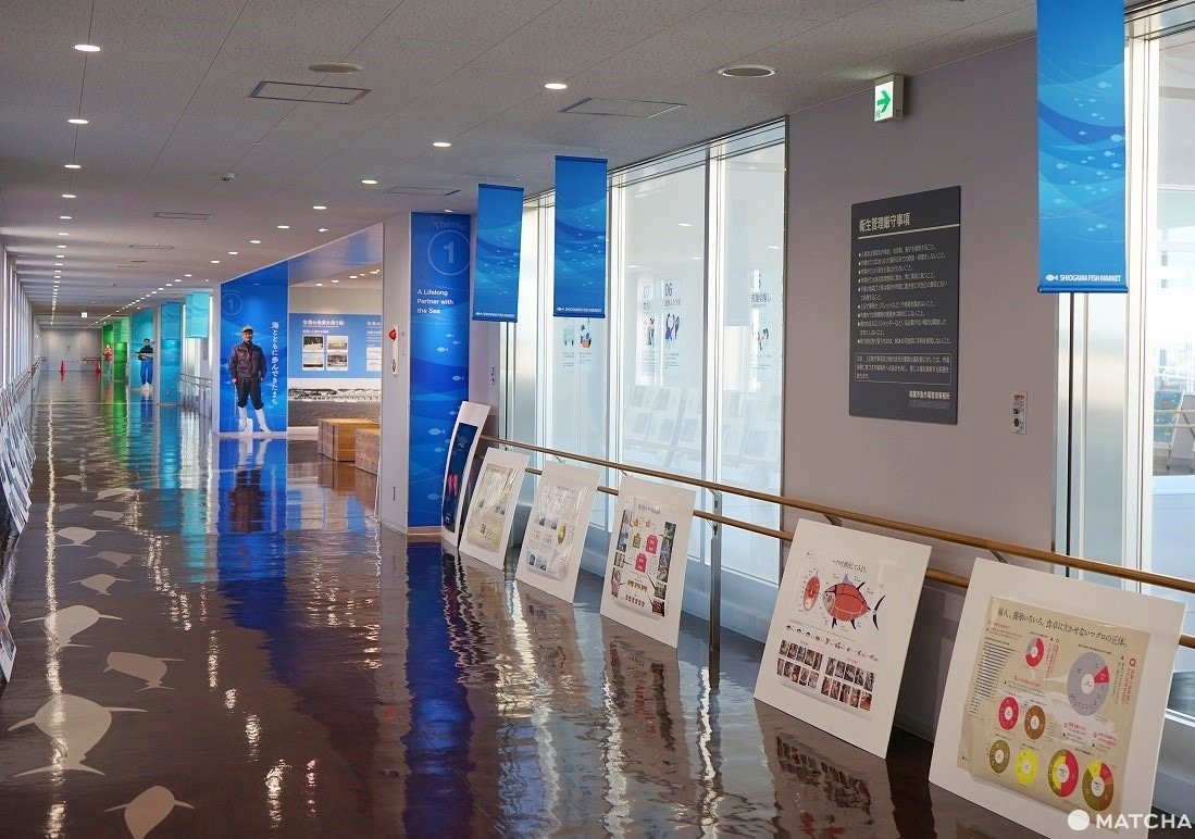 Amazing Seafood and Legends! Shiogama, a Fishing Town Near Sendai