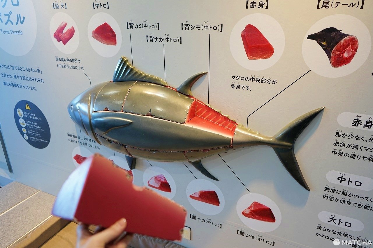 Amazing Seafood and Legends! Shiogama, a Fishing Town Near Sendai