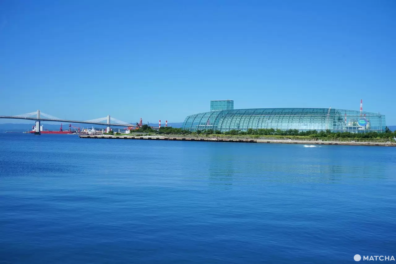 Exciting Ocean Discoveries in Iwaki: Seafood, an Aquarium, and Great Views