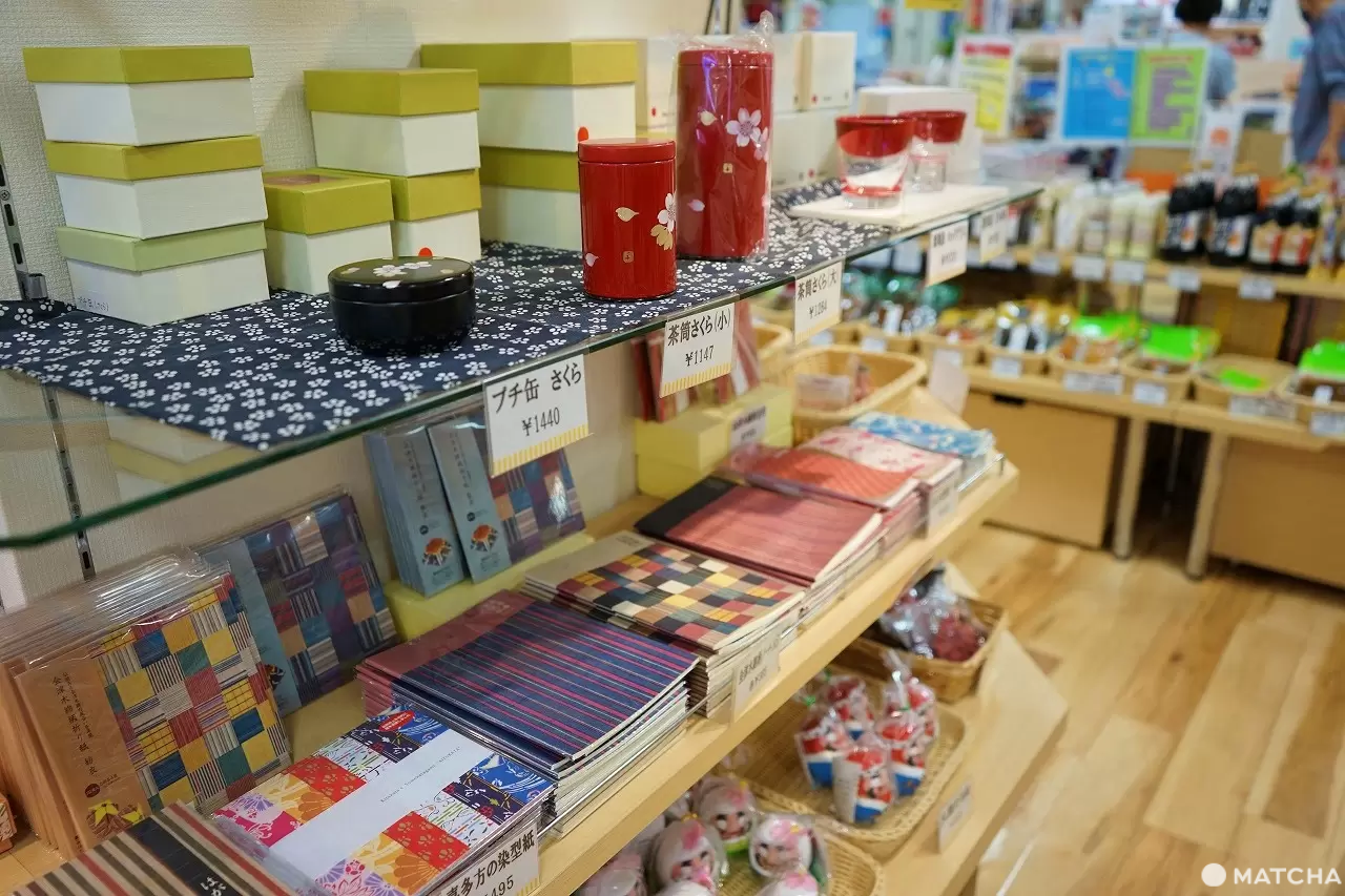 Exciting Ocean Discoveries in Iwaki: Seafood, an Aquarium, and Great Views