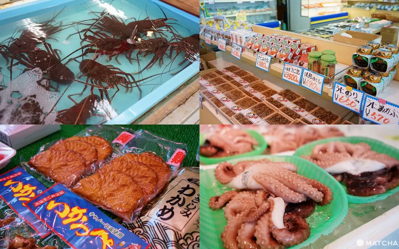 Exciting Ocean Discoveries in Iwaki: Seafood, an Aquarium, and Great Views