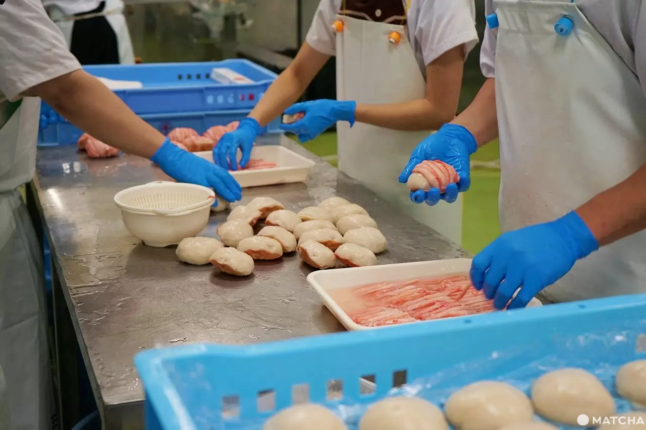 Exciting Ocean Discoveries in Iwaki: Seafood, an Aquarium, and Great Views