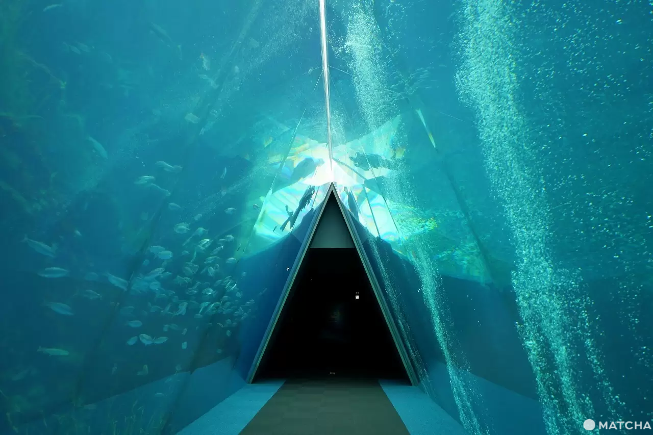 Exciting Ocean Discoveries in Iwaki: Seafood, an Aquarium, and Great Views