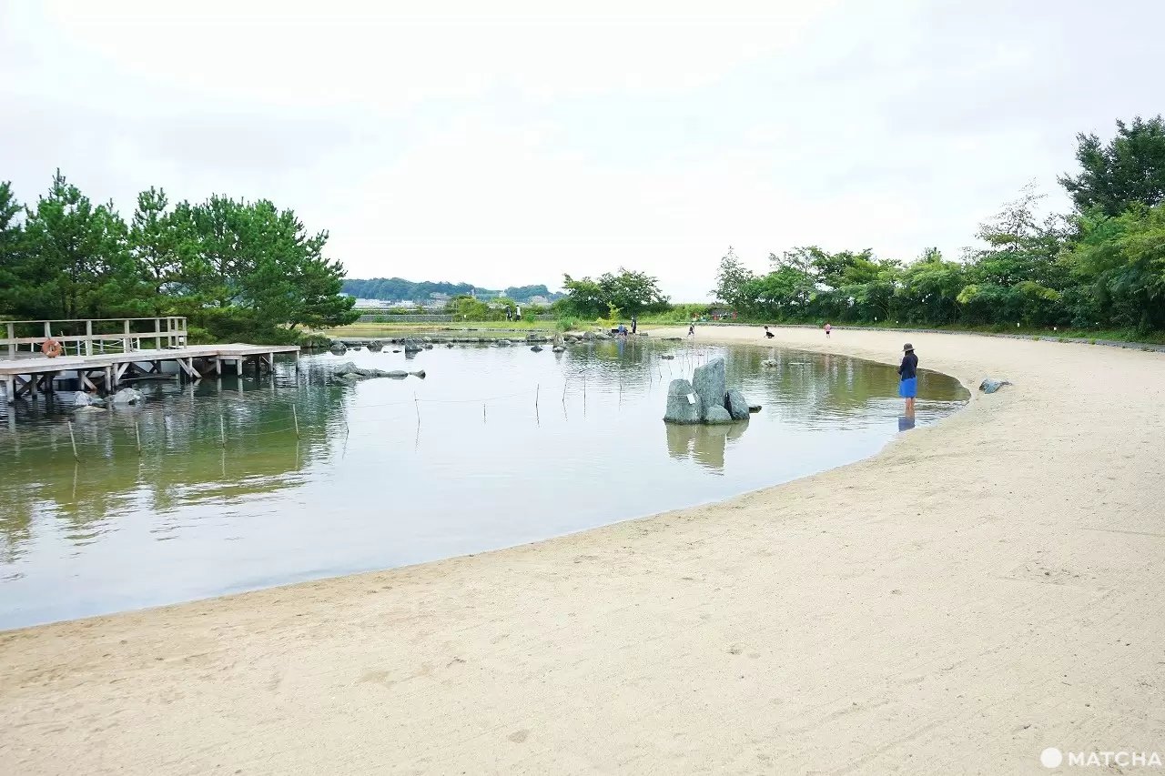 Exciting Ocean Discoveries in Iwaki: Seafood, an Aquarium, and Great Views