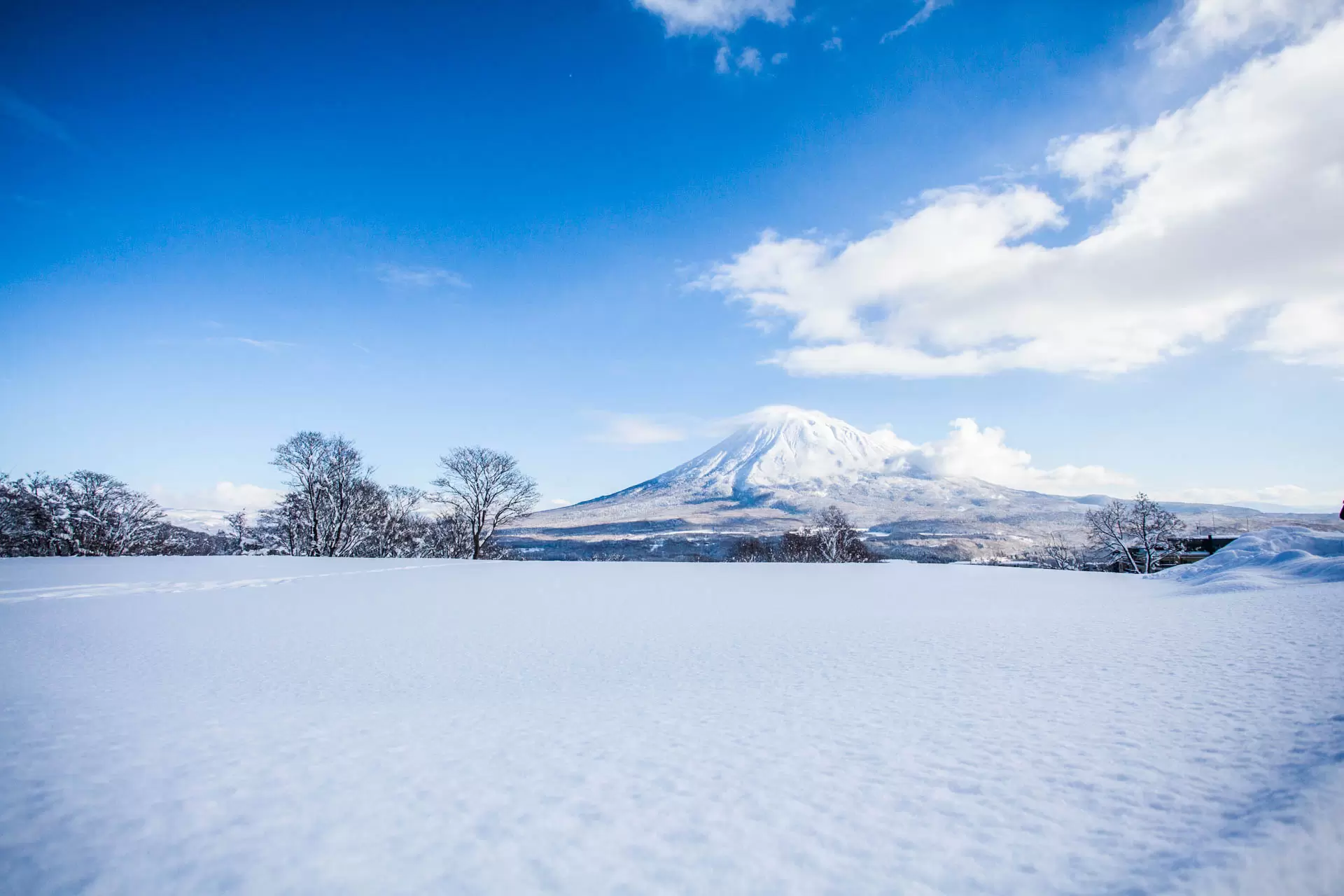 新雪谷宣傳板 | MATCHA - 日本線上旅遊觀光雜誌
