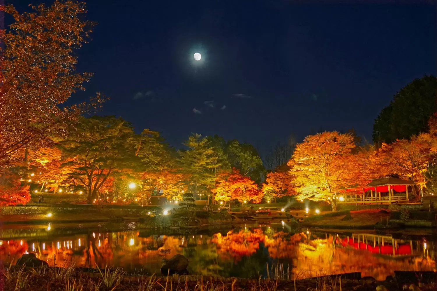 Enjoy a Mesmerizing Fall of Light, Fireworks, and Color in Shizuoka! 