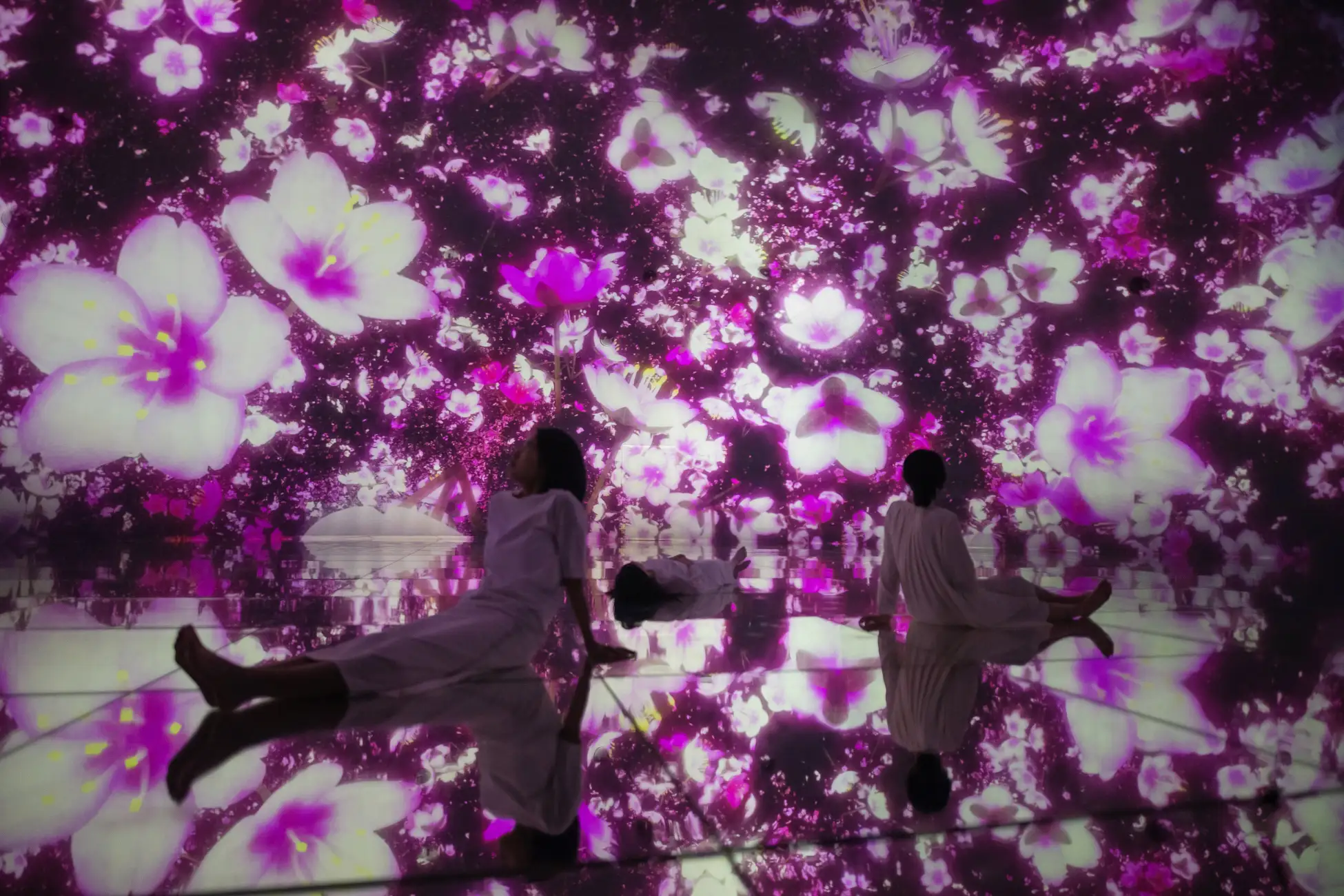 teamLab Planets TOKYO DMM 春季限定展出，墜入櫻花夢幻世界！