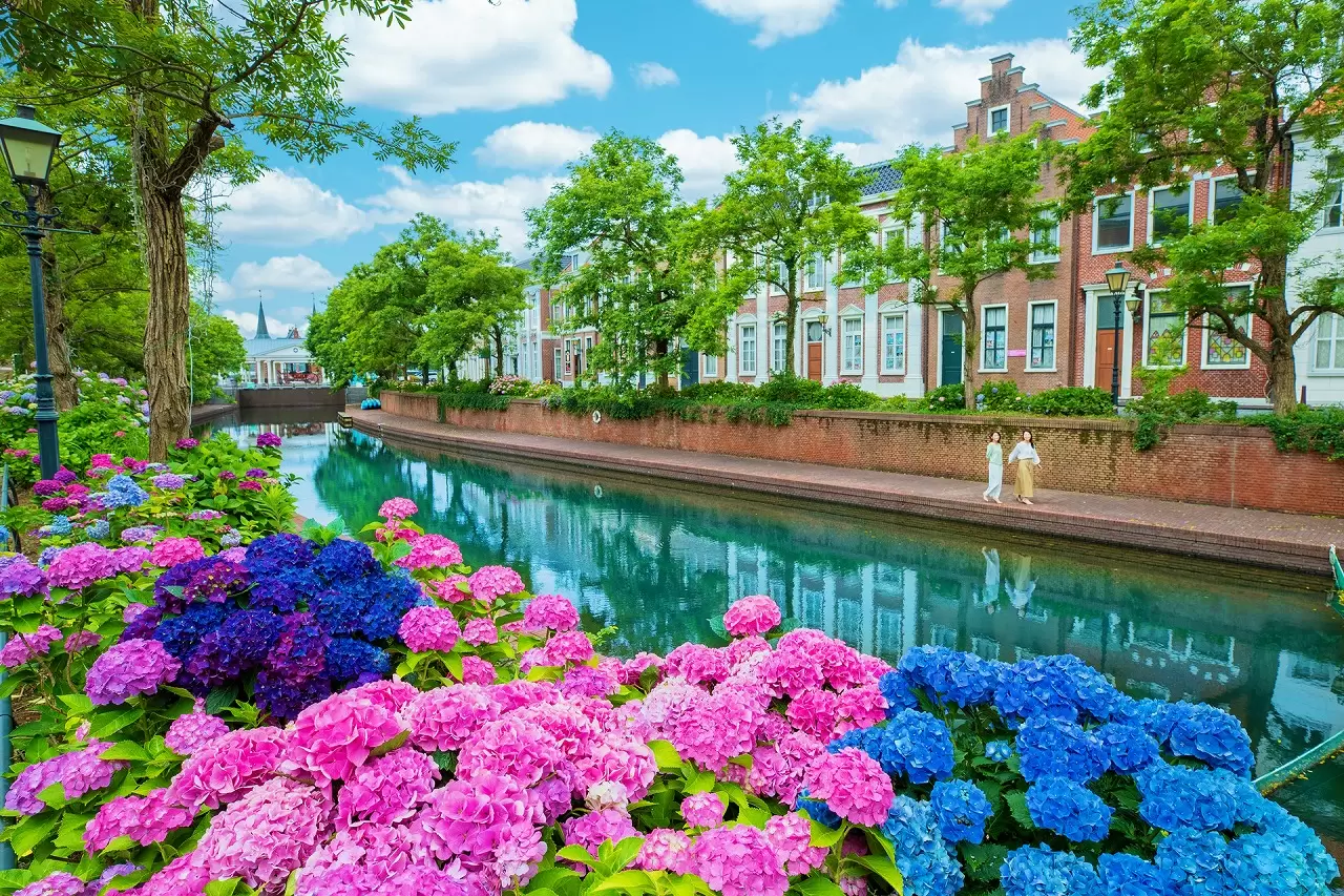 Relish Roses and Hydrangeas in Nagasaki! Flower Festivals at Huis Ten Bosch