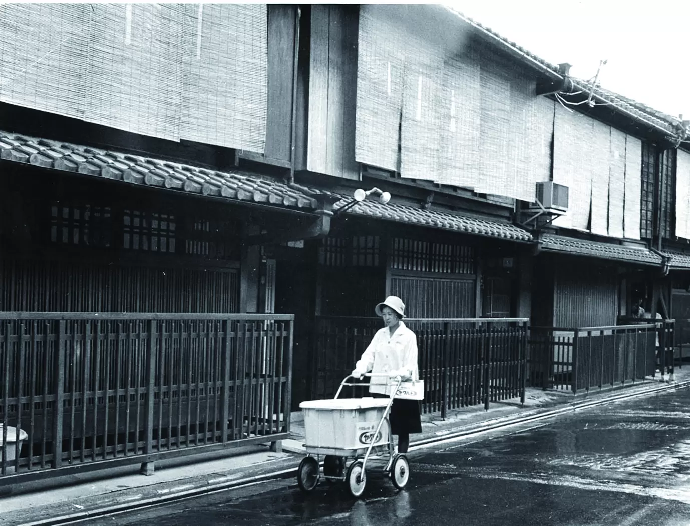 ヤクルトレイディ