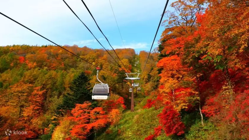 8 Amazing Autumn Tours to Take and See the Foliage
