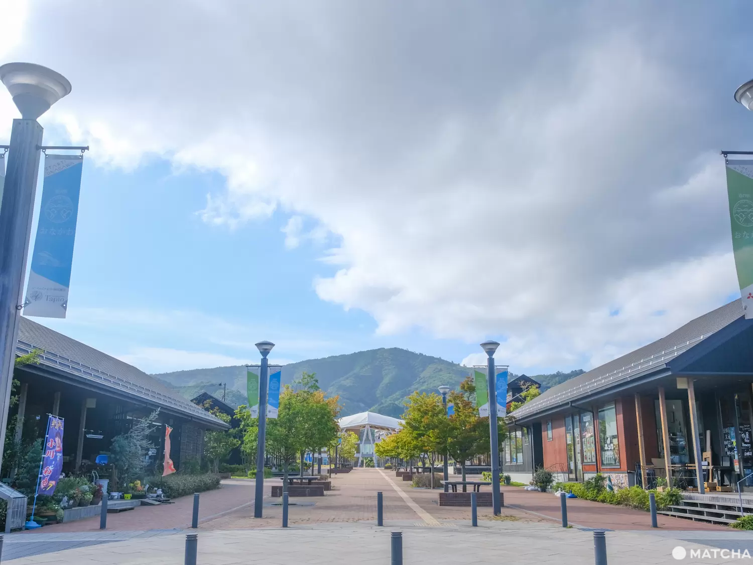 寿司だけじゃない！宮城県女川町で「かまぼこ」を楽しもう